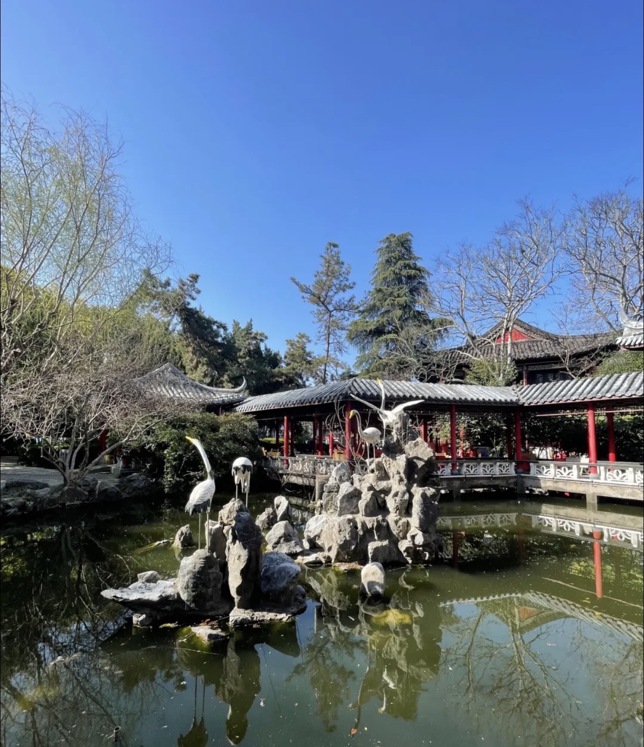 海陵公园旅行图片 2