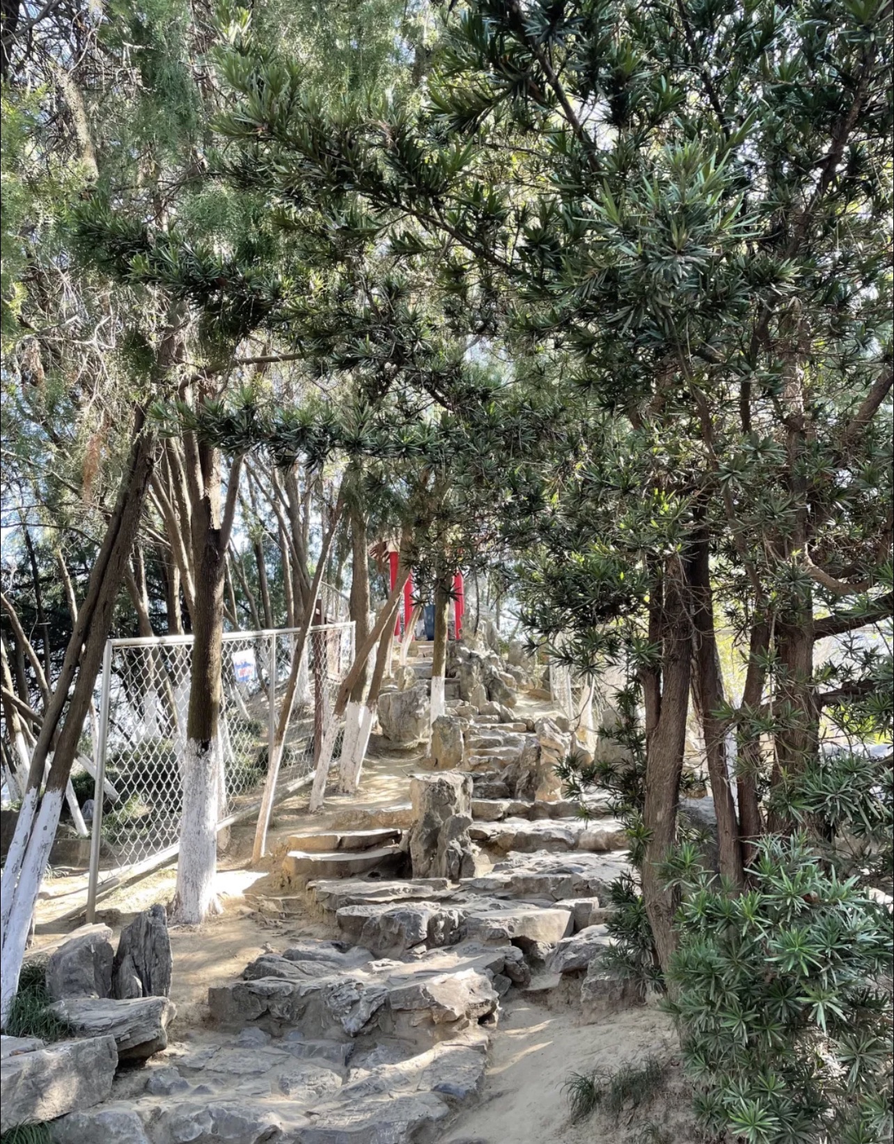 海陵公园旅行图片 3