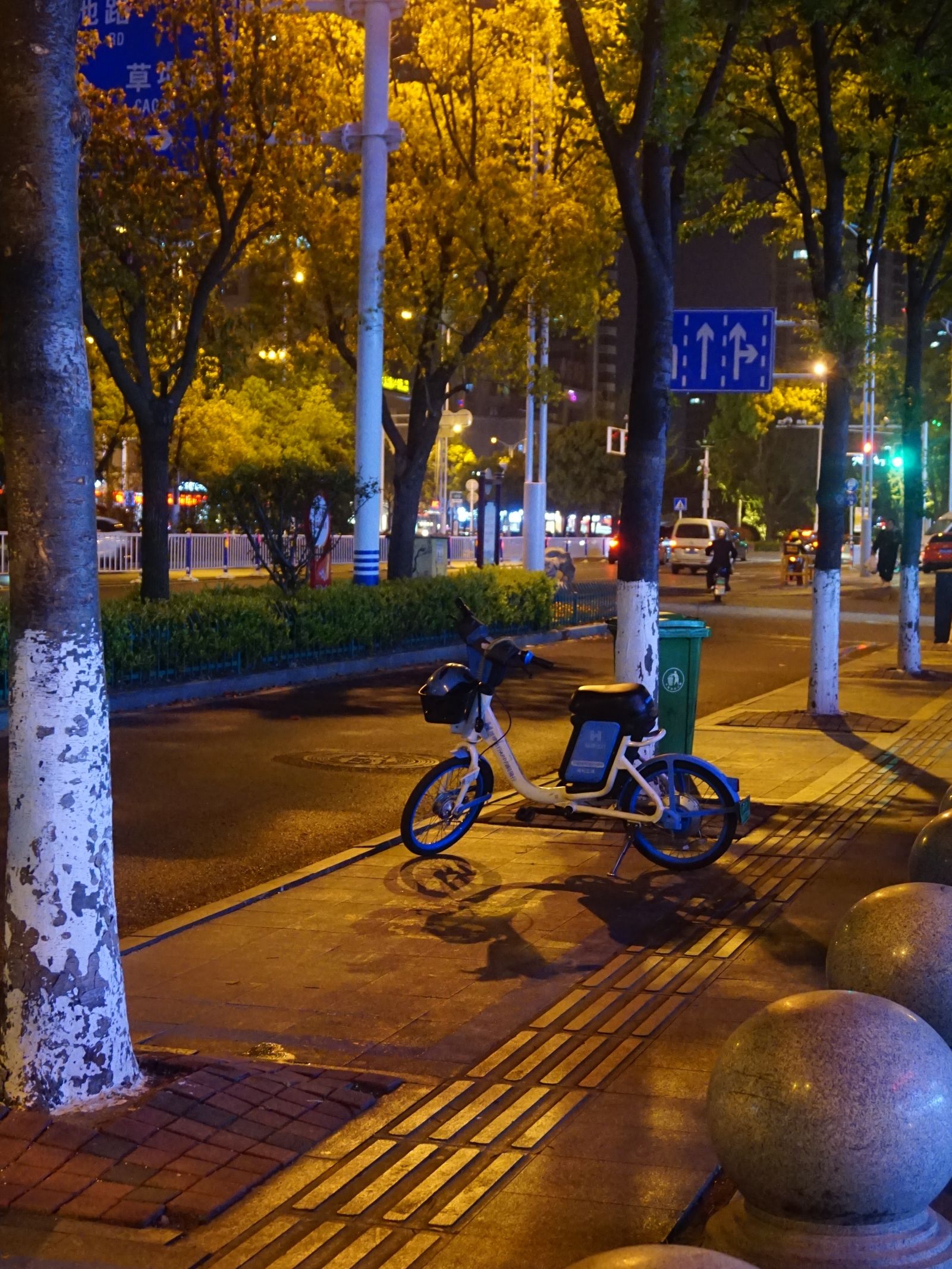 海陵公园旅行图片 2