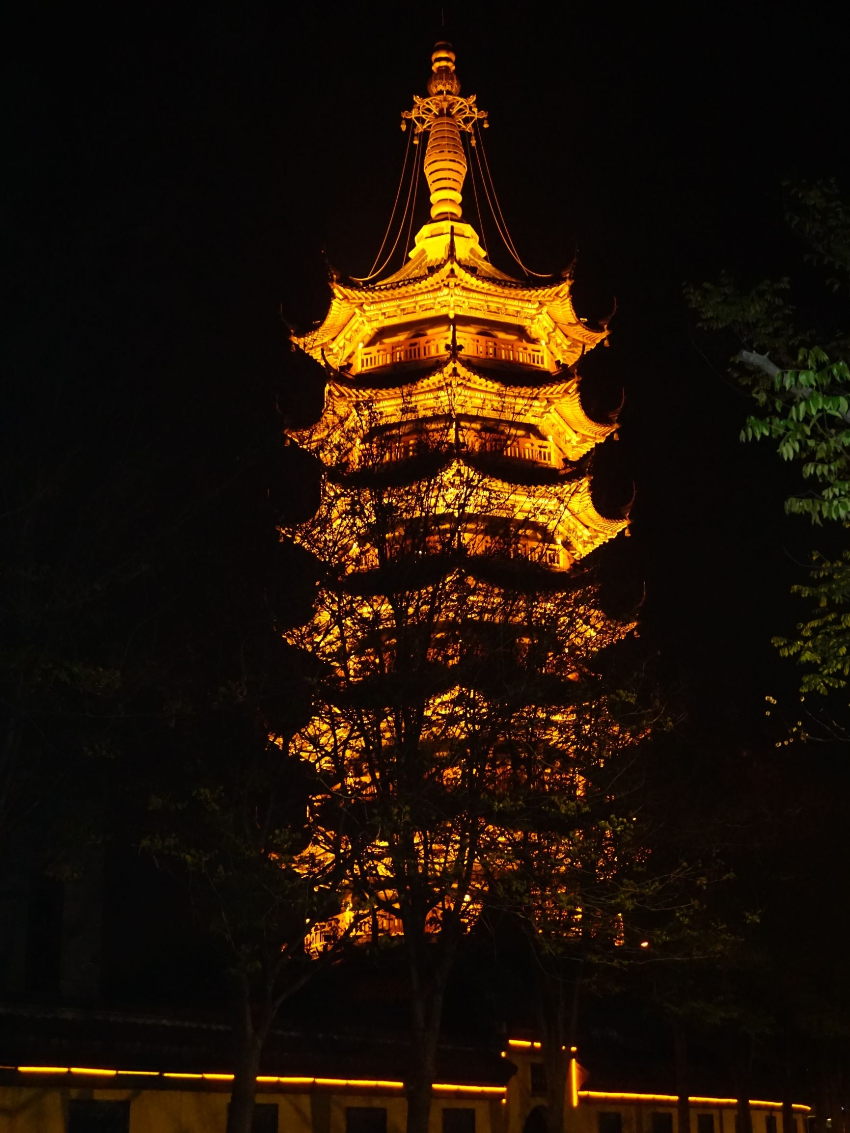 海陵公园旅行图片 3