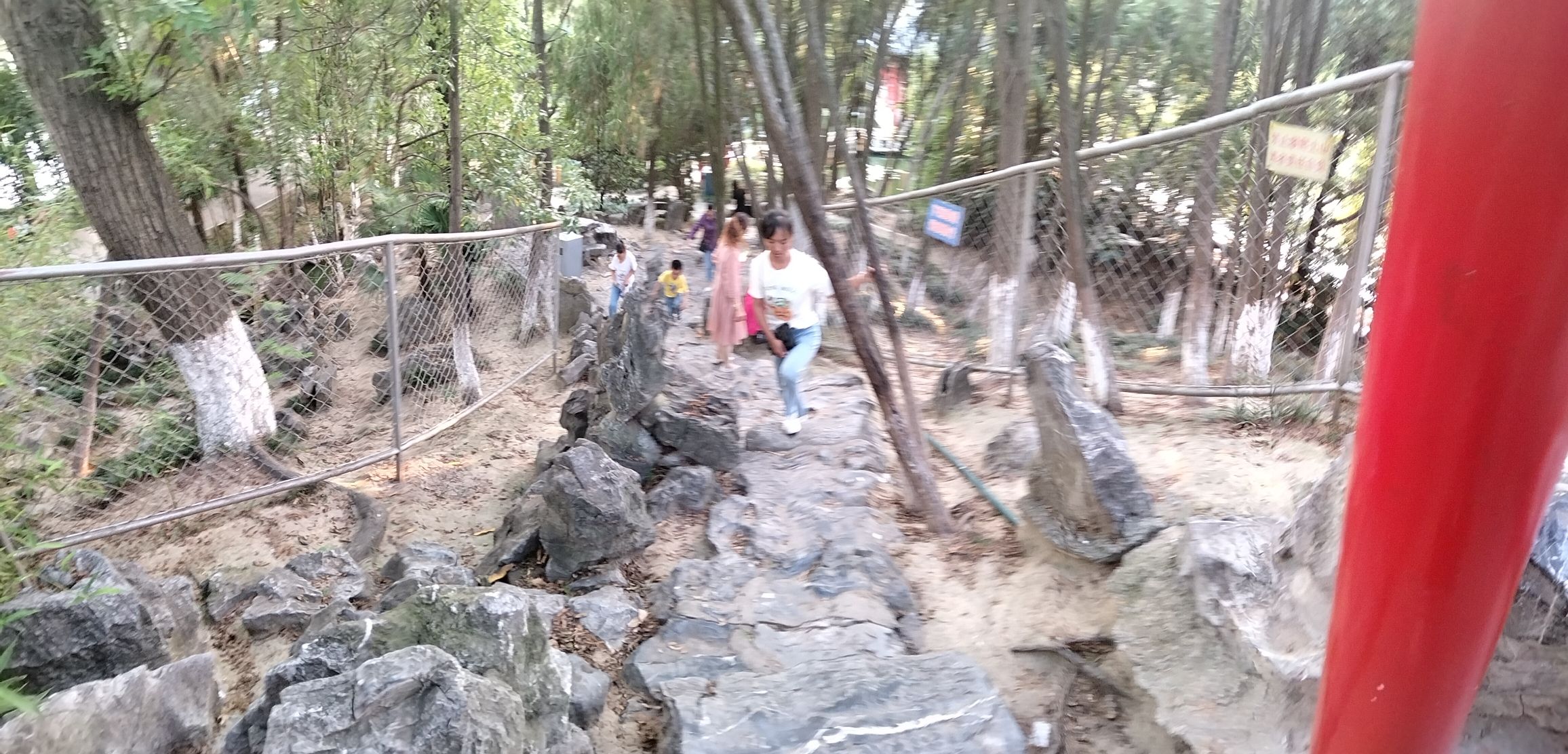 海陵公园旅行图片 1