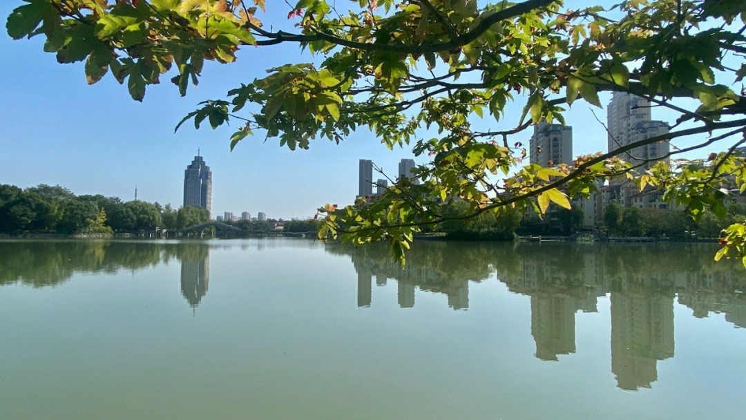 浅水湾水上公园旅行图片 2