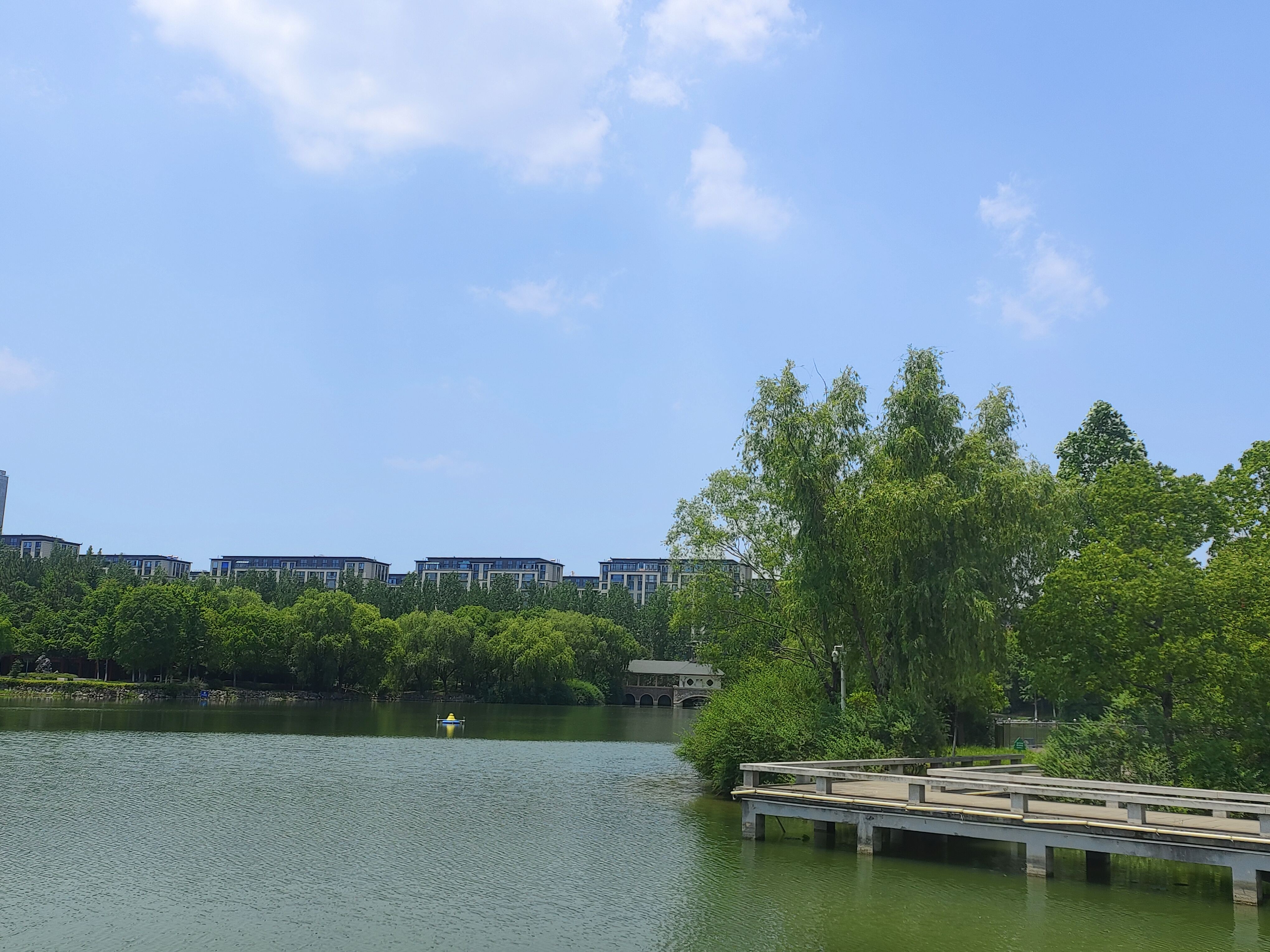 浅水湾水上公园旅行图片 3
