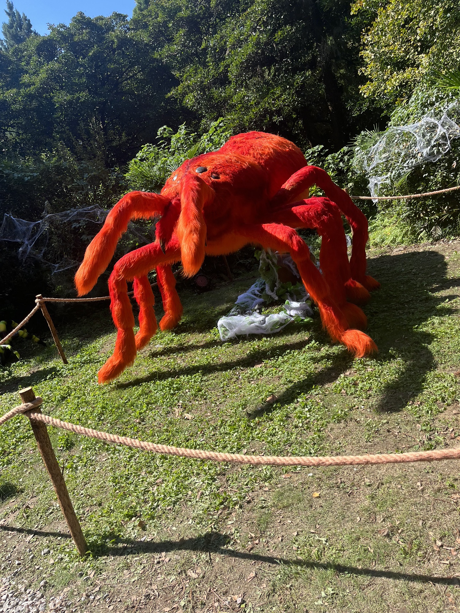 城市绿谷旅行图片 2