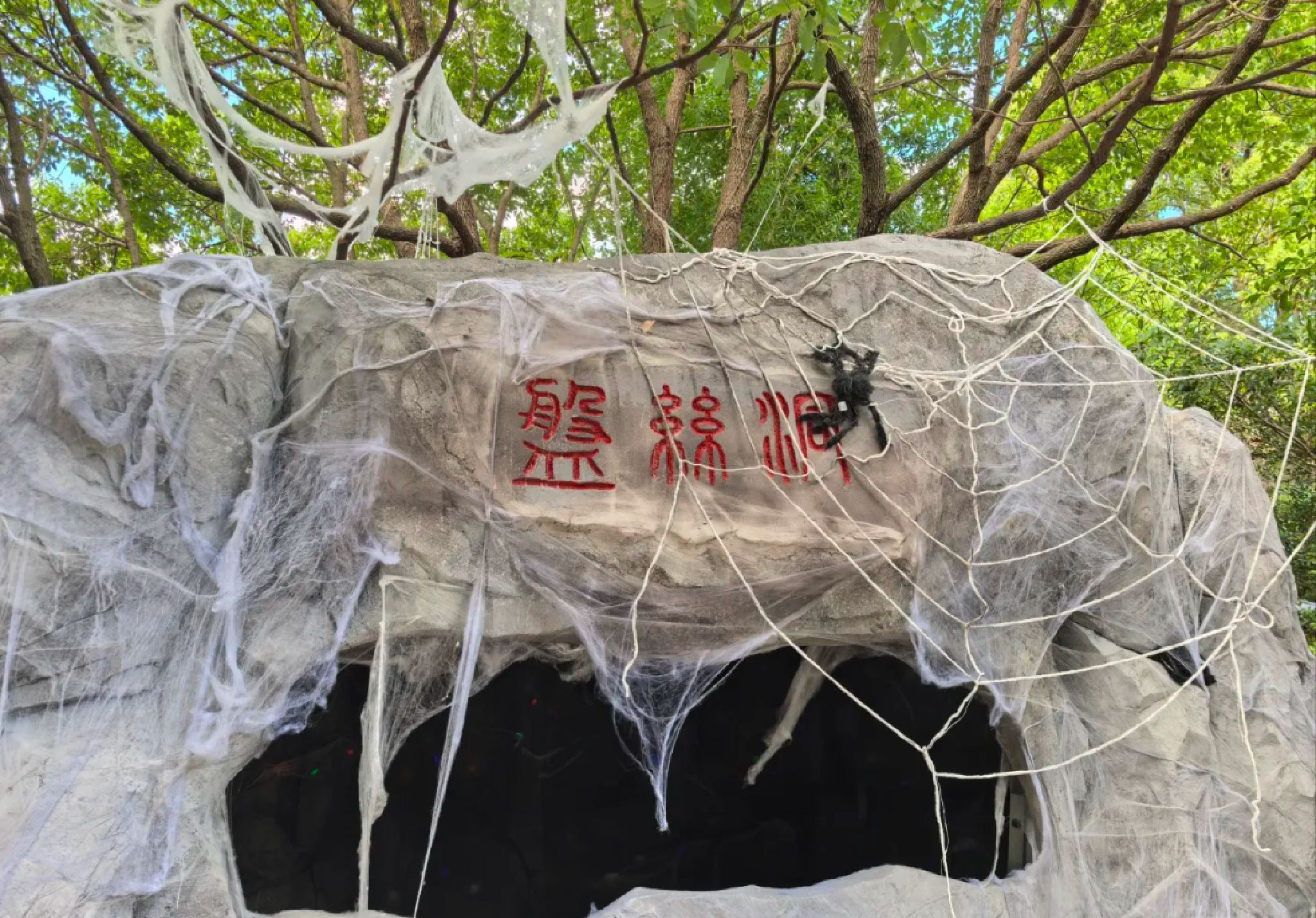 城市绿谷旅行图片 3