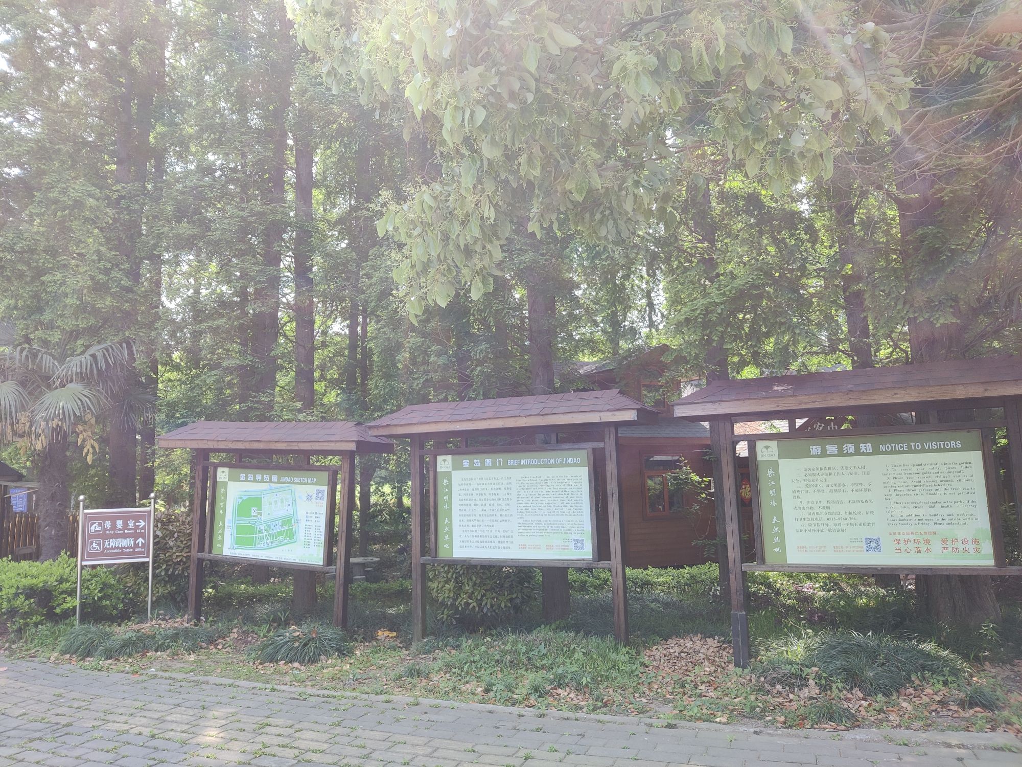 金岛生态园旅行图片 1