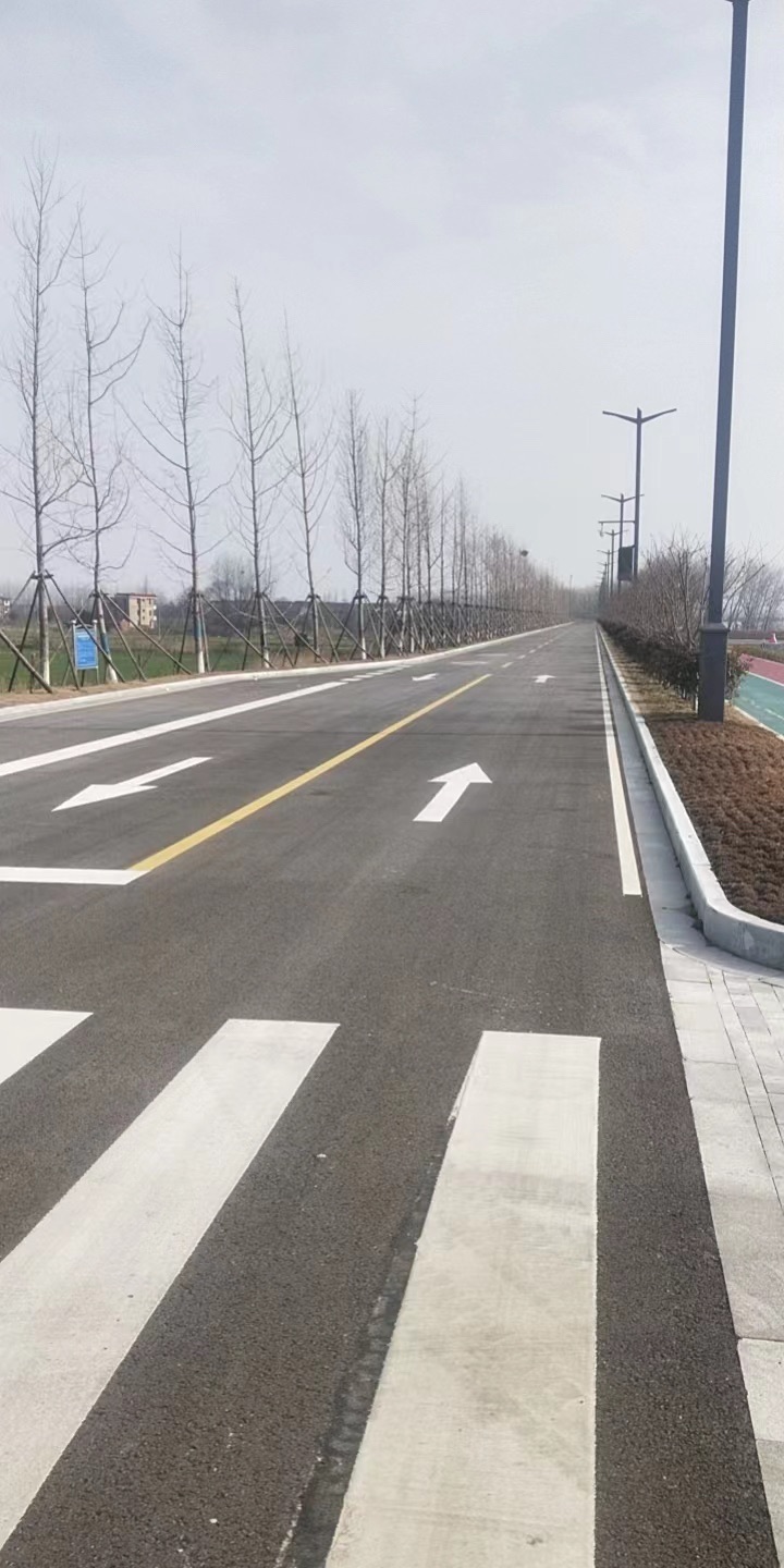 金岛生态园旅行图片 1