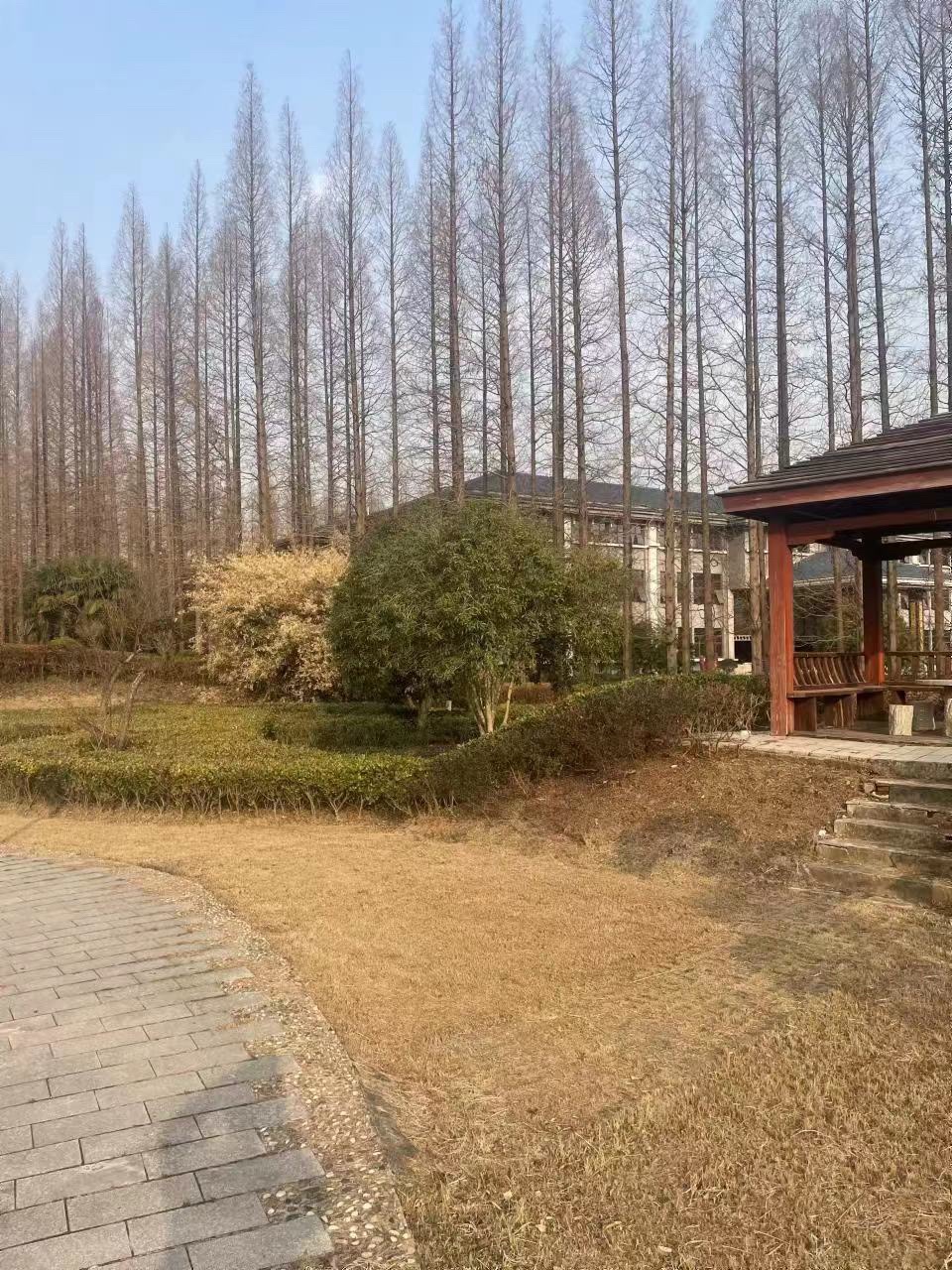 金岛生态园旅行图片 3