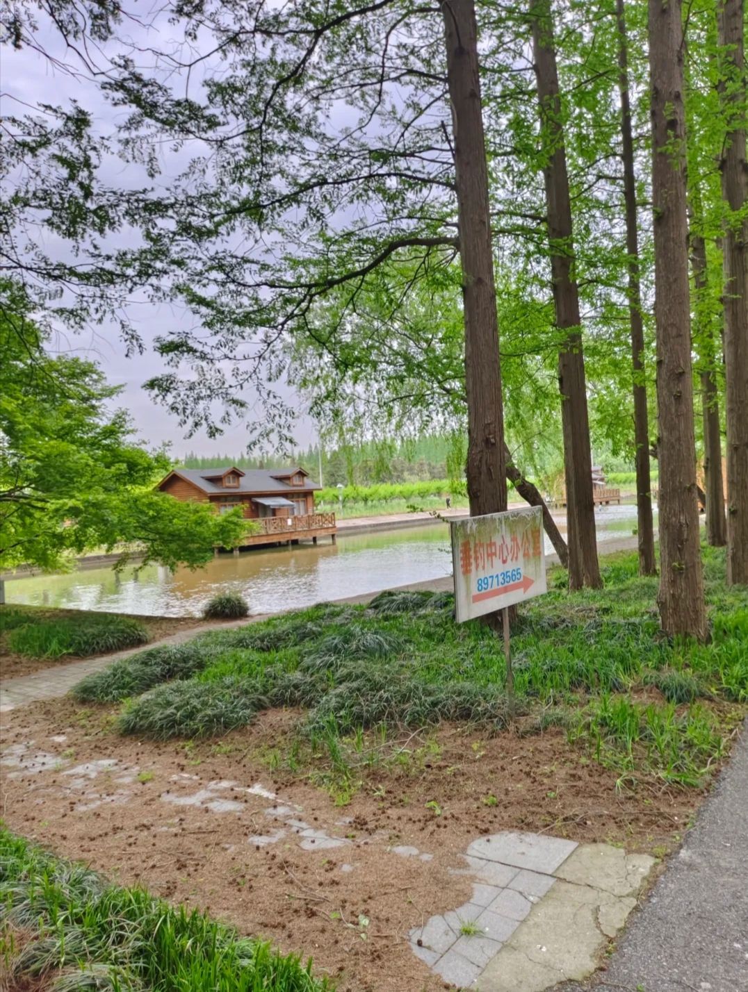金岛生态园旅行图片 3