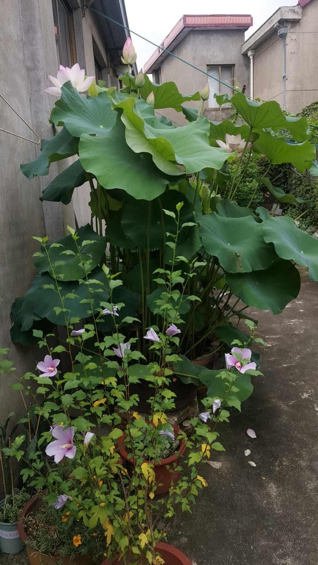 河滨公园旅行图片 2