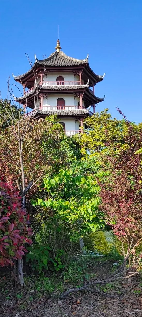 江海风情园旅行图片 3