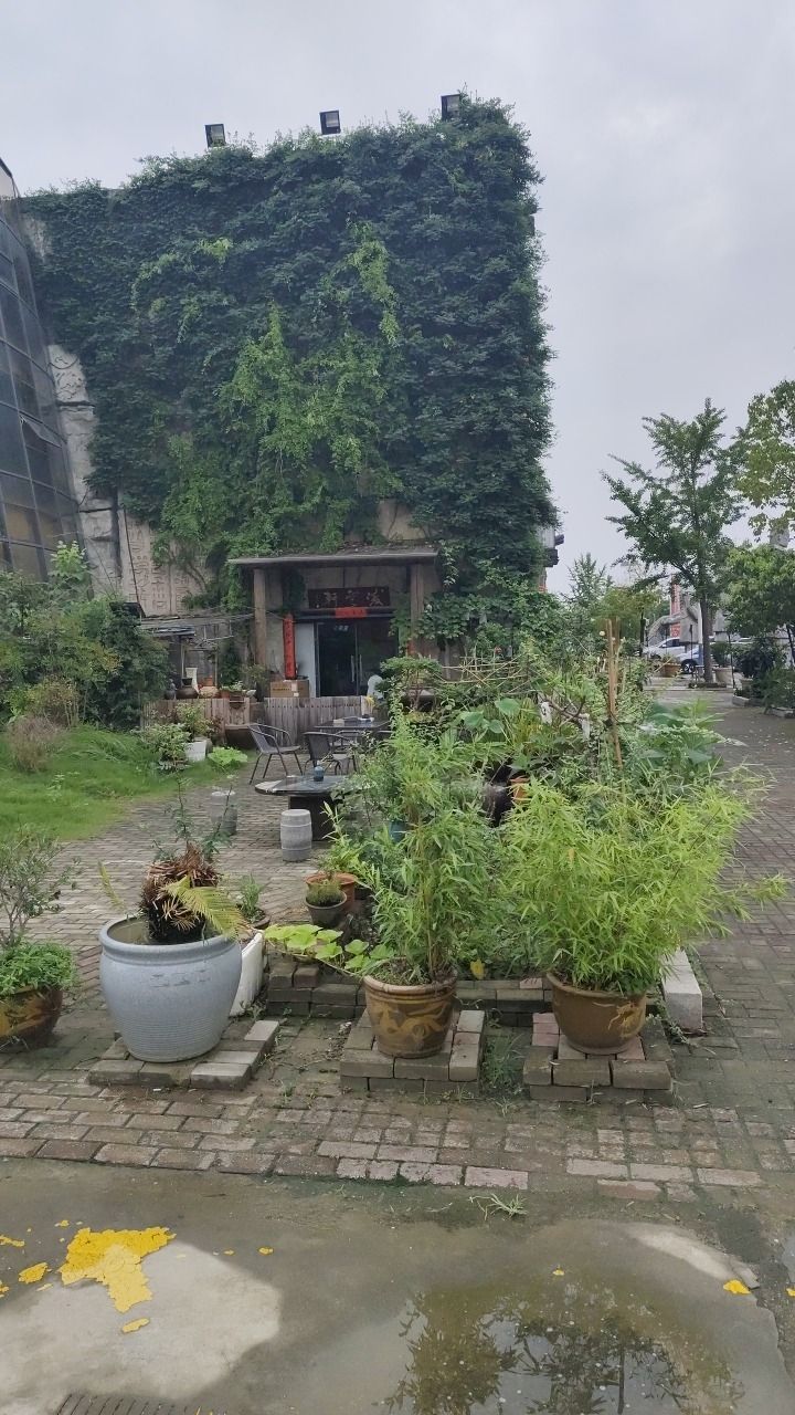 523文化主题公园旅行图片 3