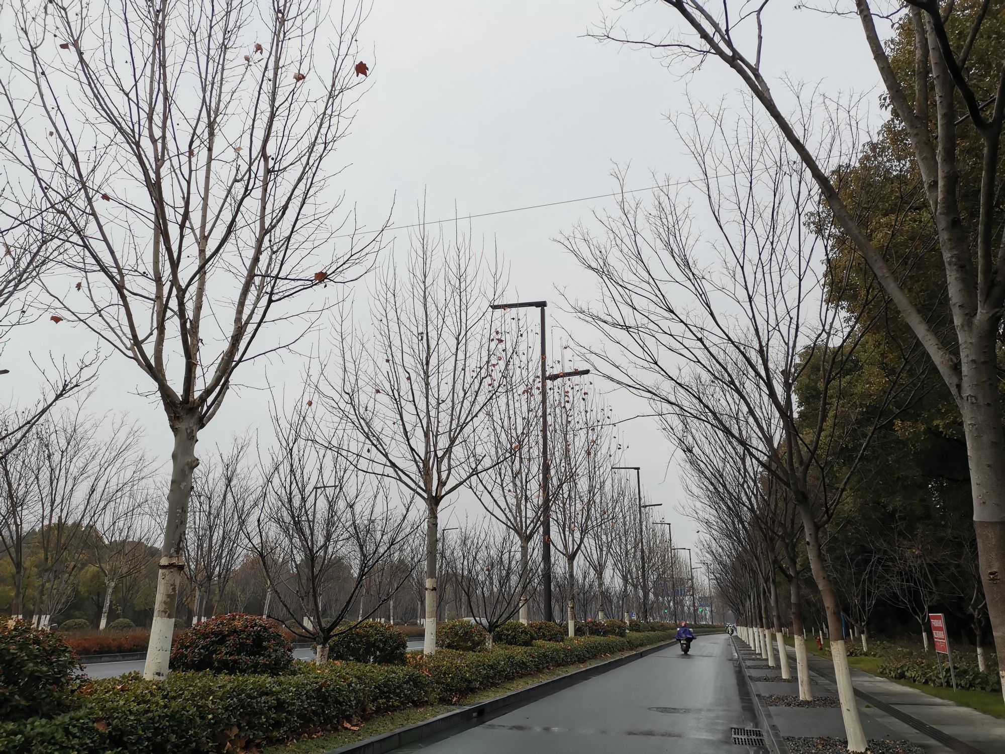 能达中央公园旅行图片 2