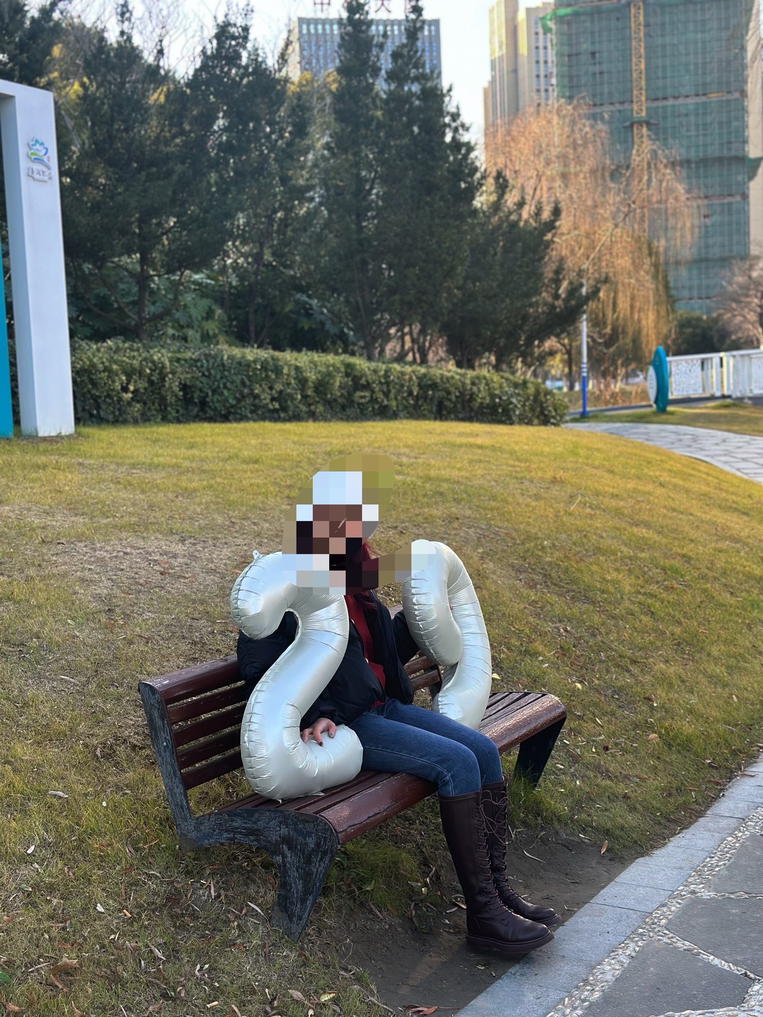 能达中央公园旅行图片 1