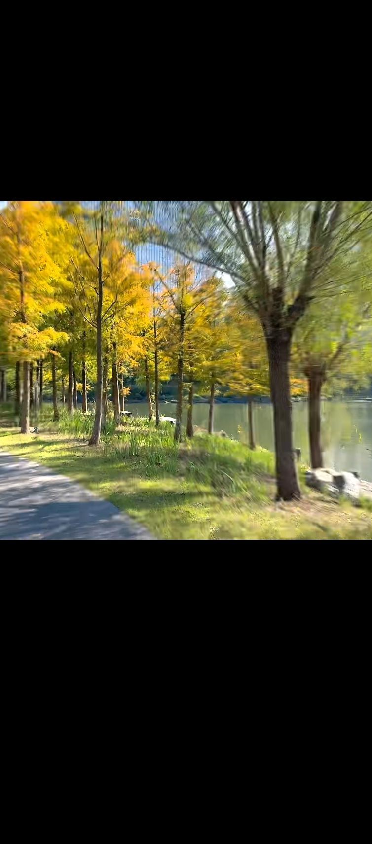 南通中央公园(崇川路)旅行图片 1