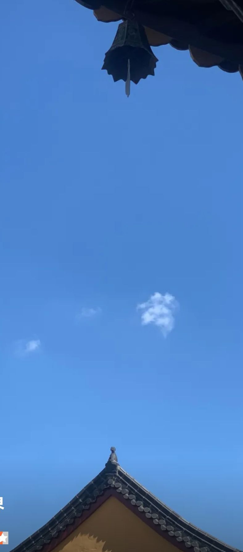 南通中央公园(崇川路)旅行图片 3
