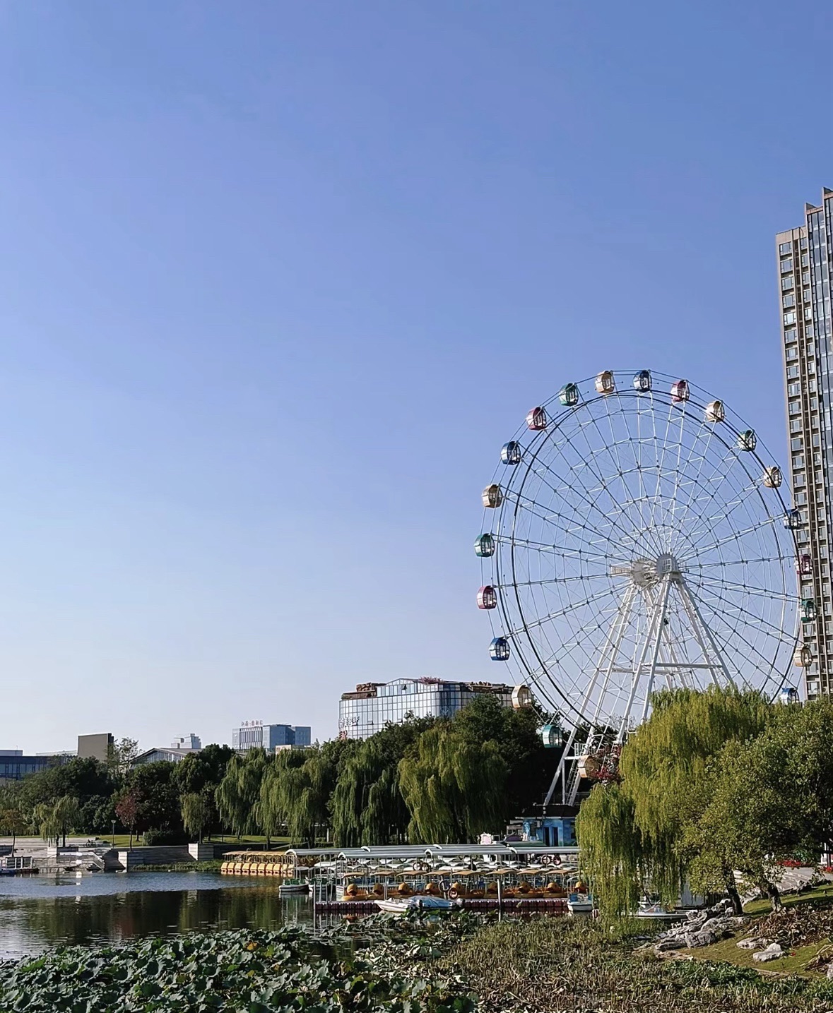 南山湖公园旅行图片 2