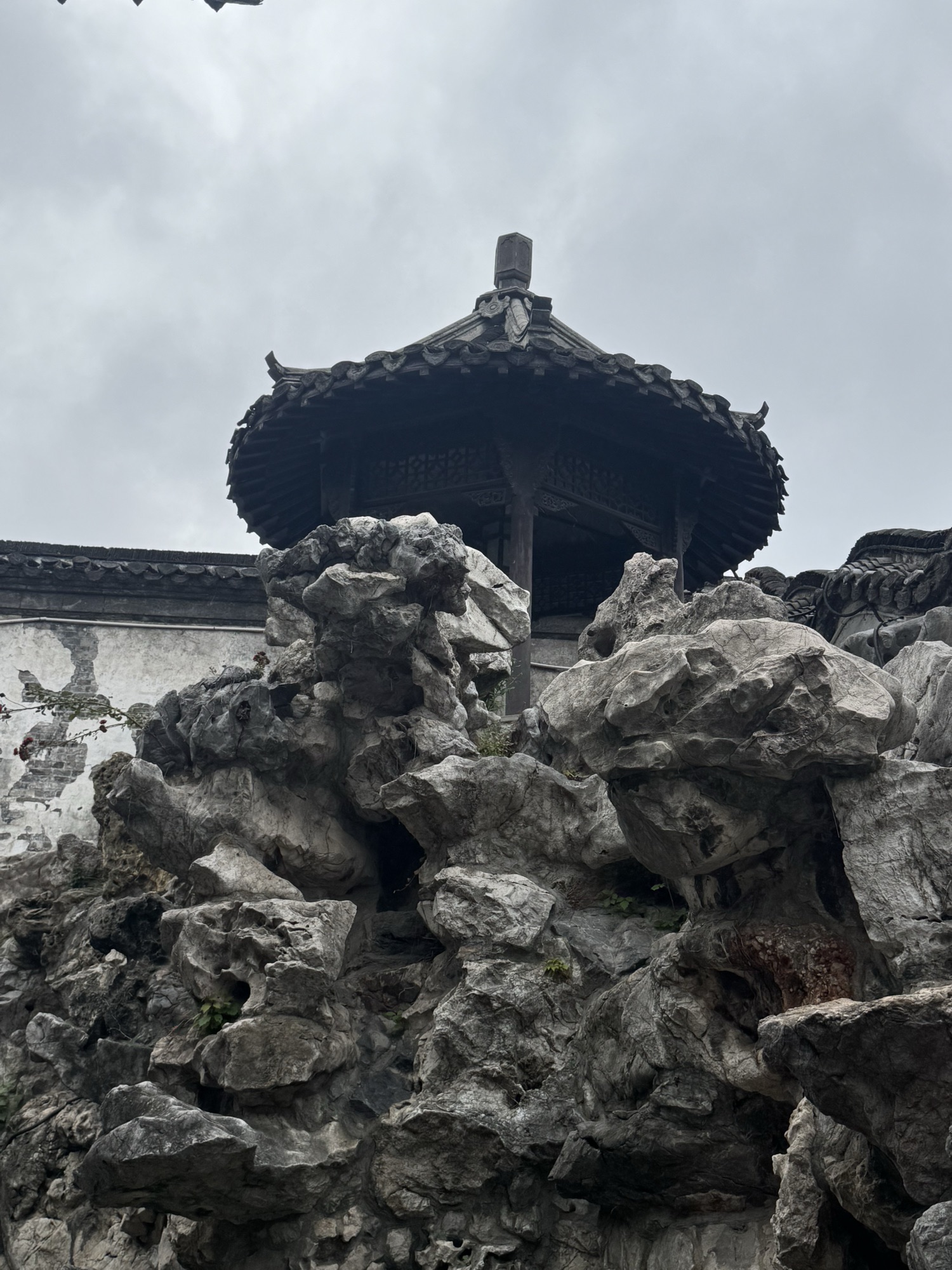 何园旅行图片 1