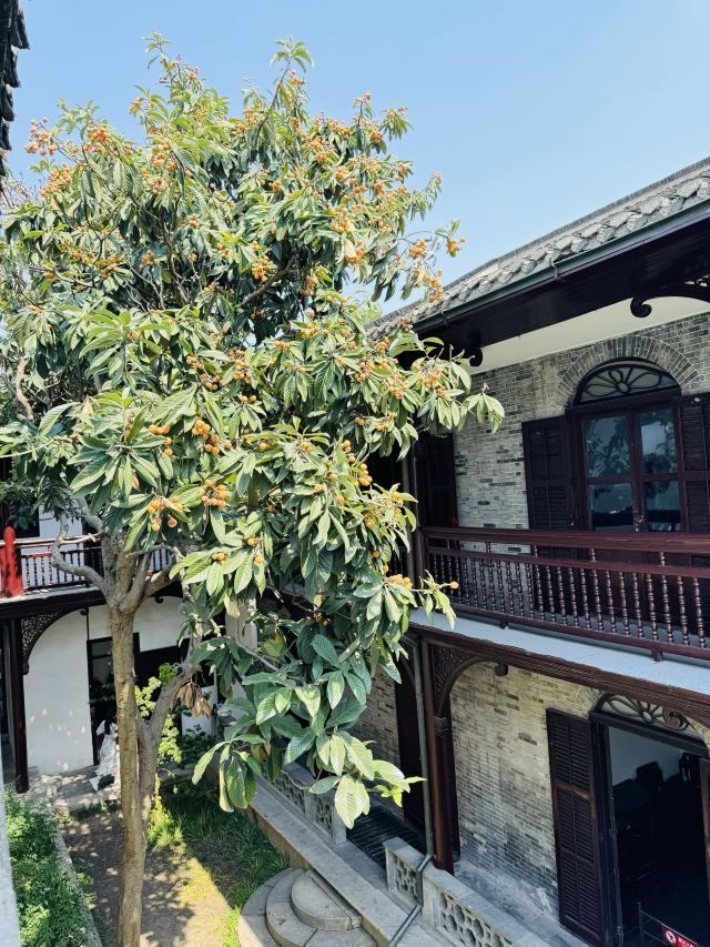 何园旅行图片 2