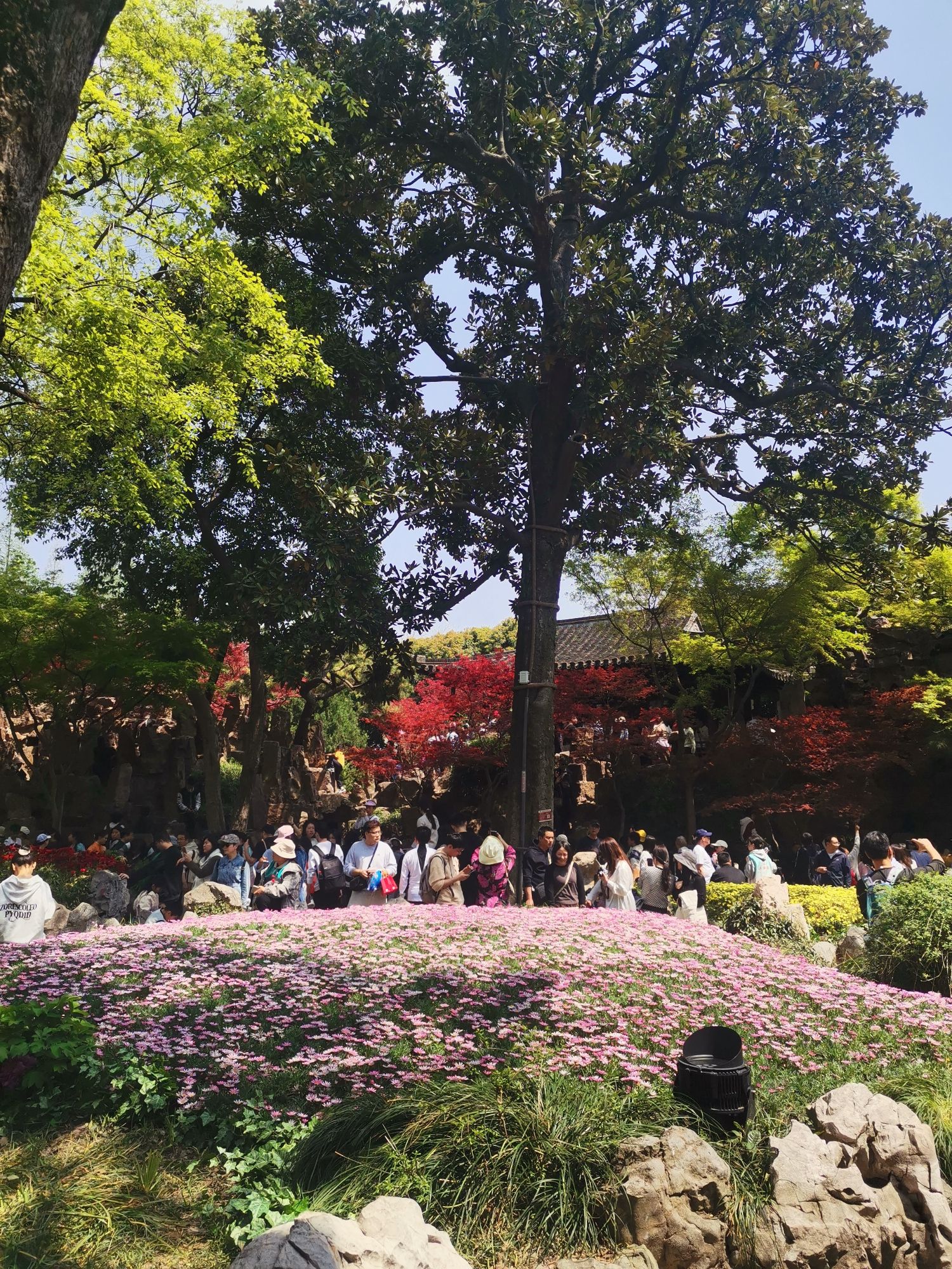 个园旅行图片 3