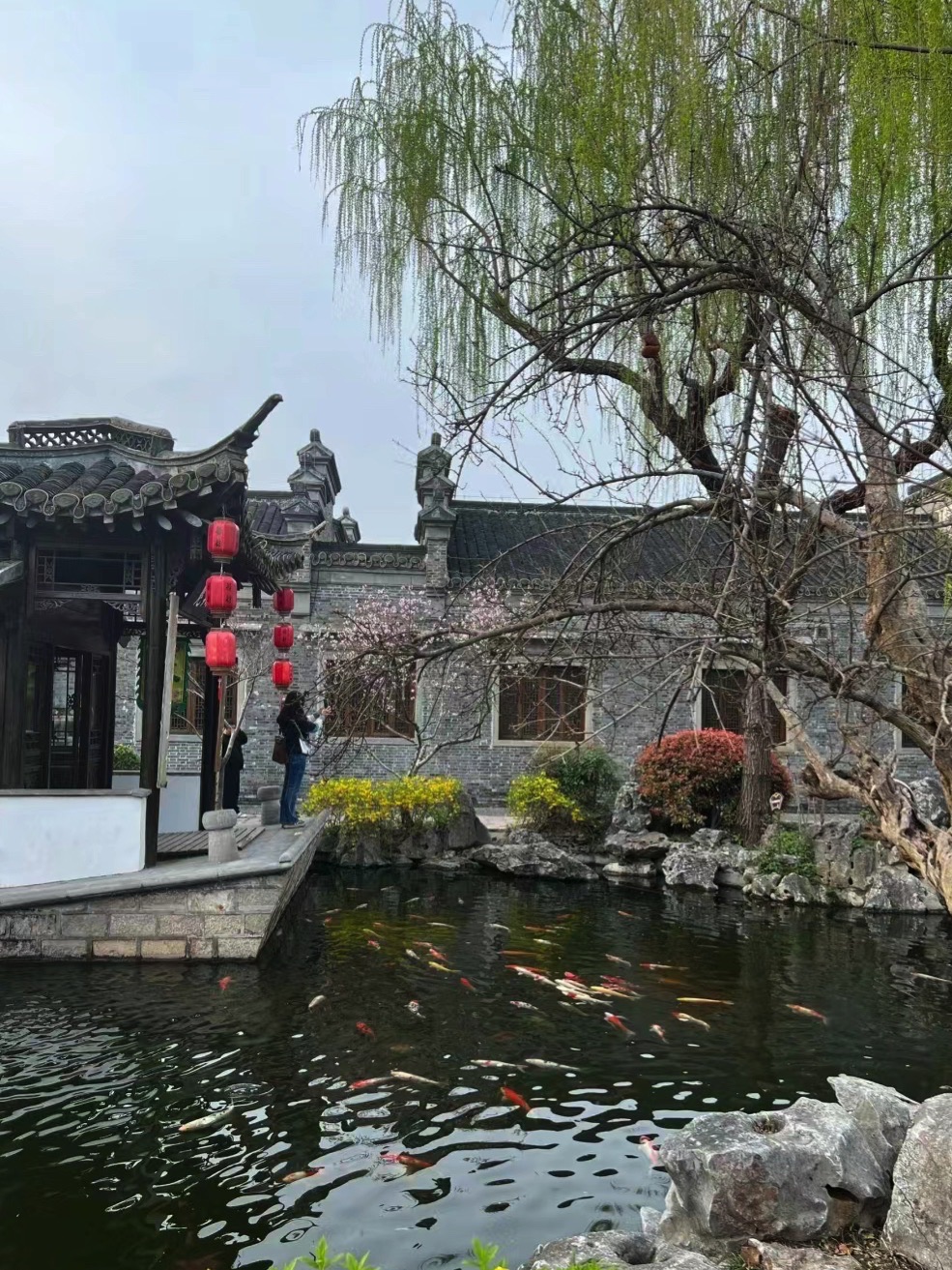 个园旅行图片 3