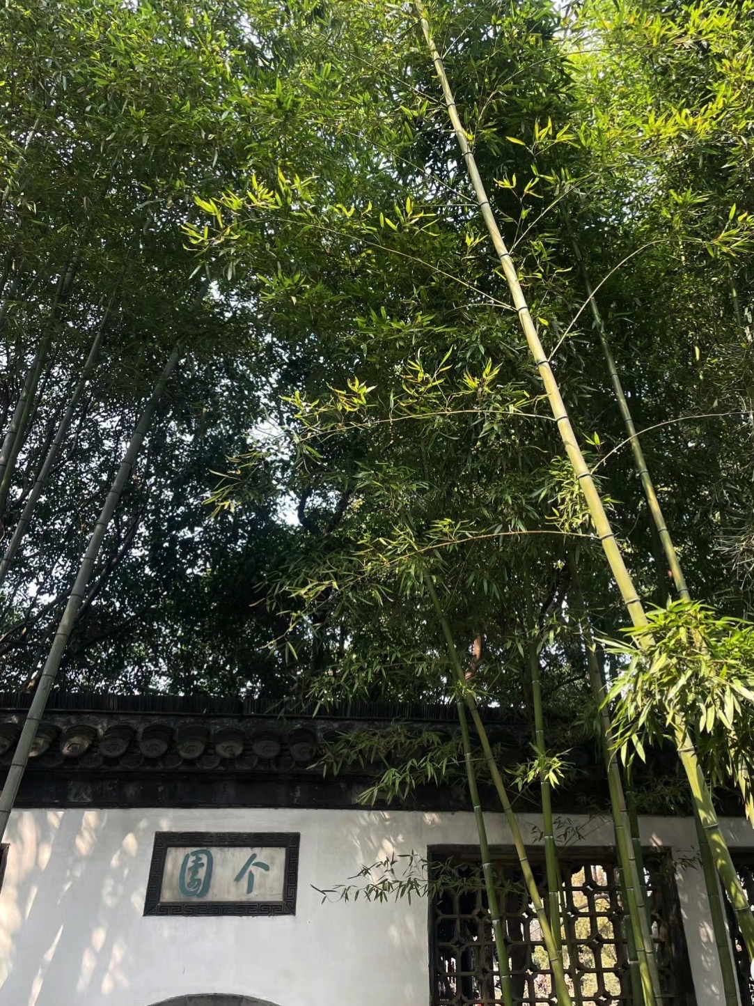 个园旅行图片 2