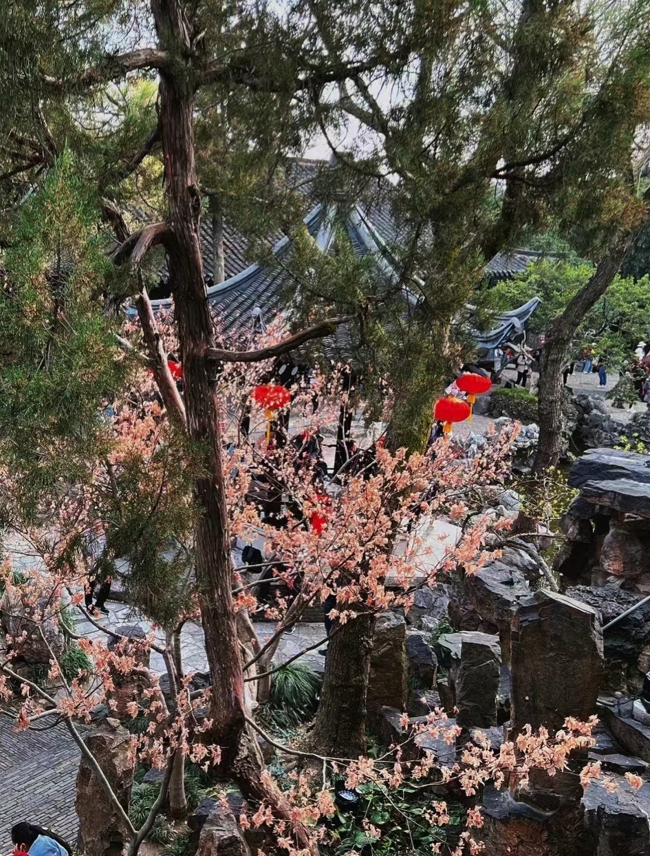 个园旅行图片 1