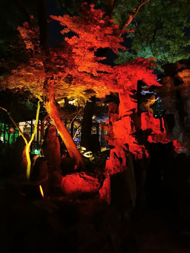 个园旅行图片 3