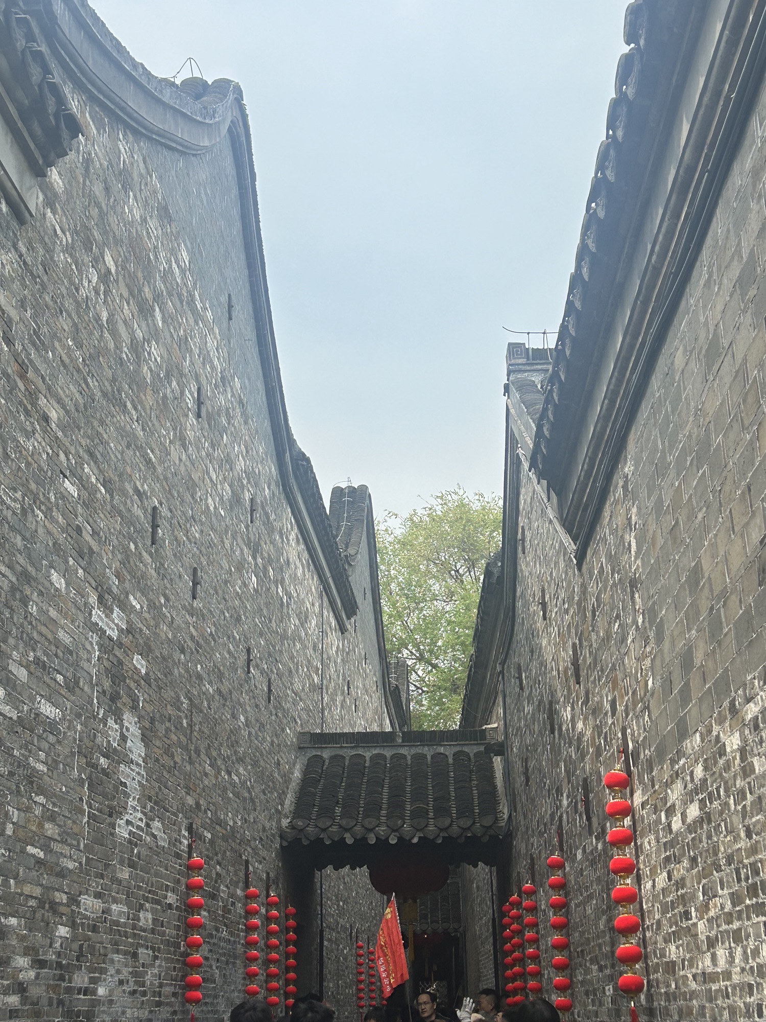 个园旅行图片 3