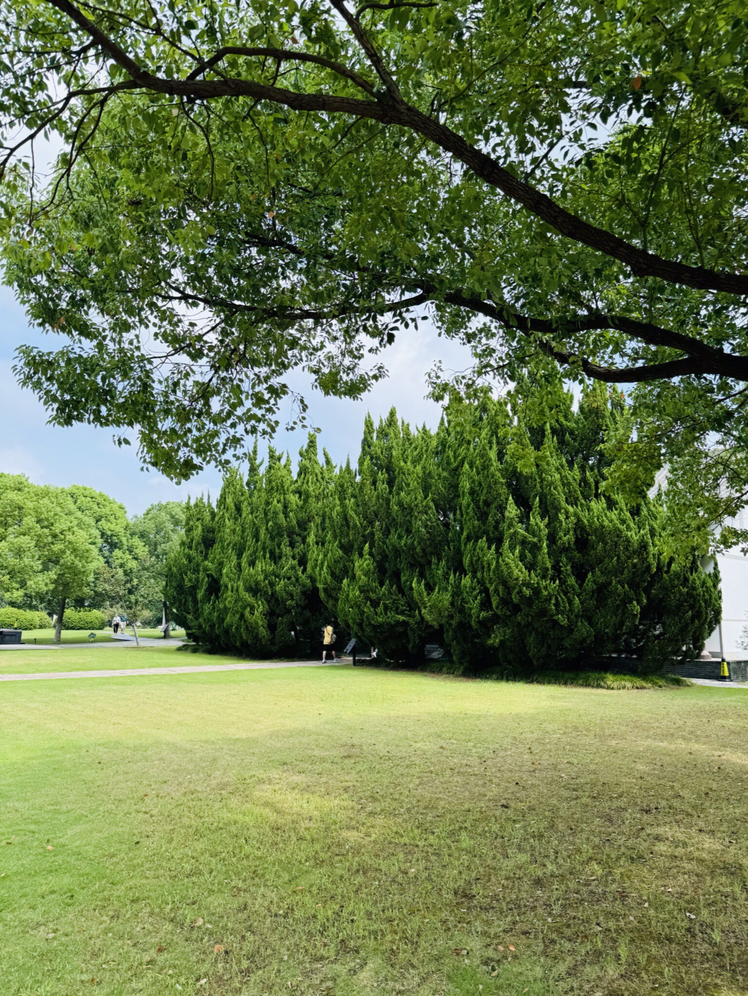扬州大运河文化旅游度假区·汉广陵王墓博物馆旅行图片 3
