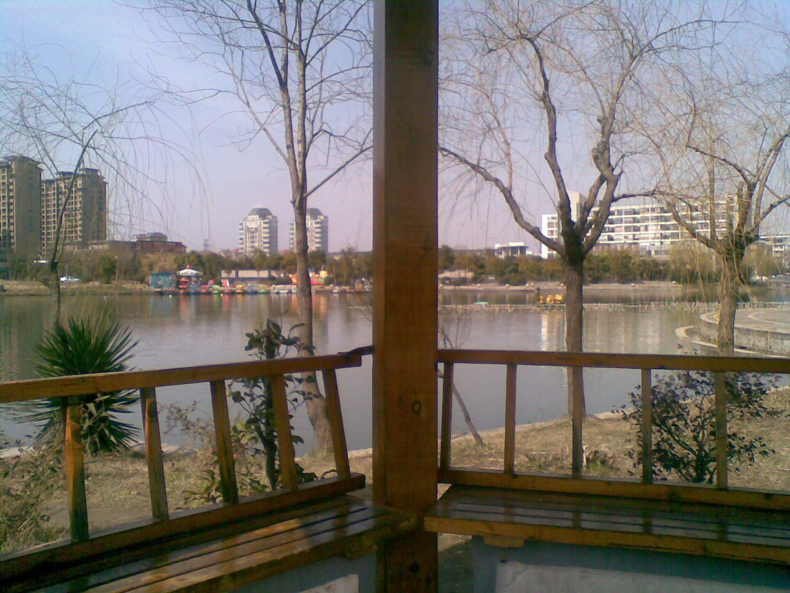 曲江公园旅行图片 2