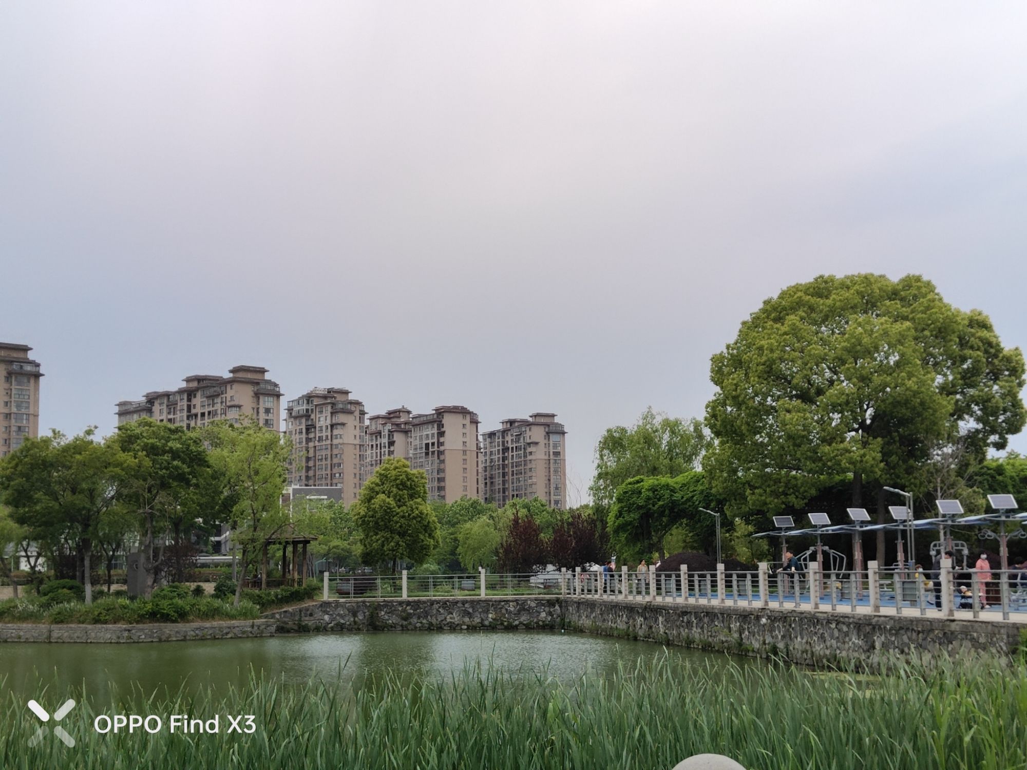 曲江公园旅行图片 1