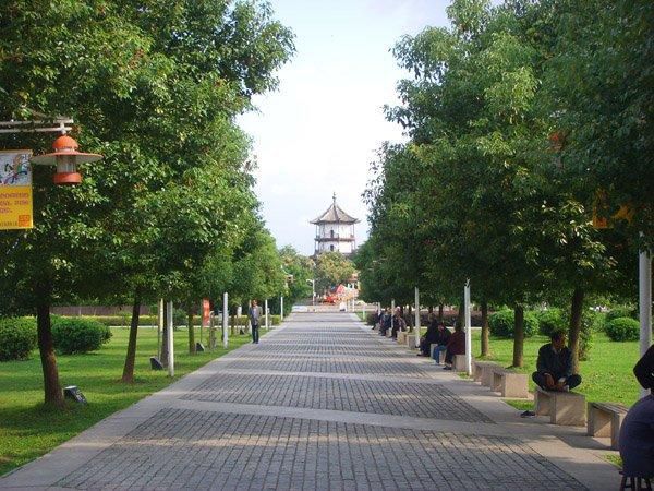 蝶园市民广场旅行图片 3