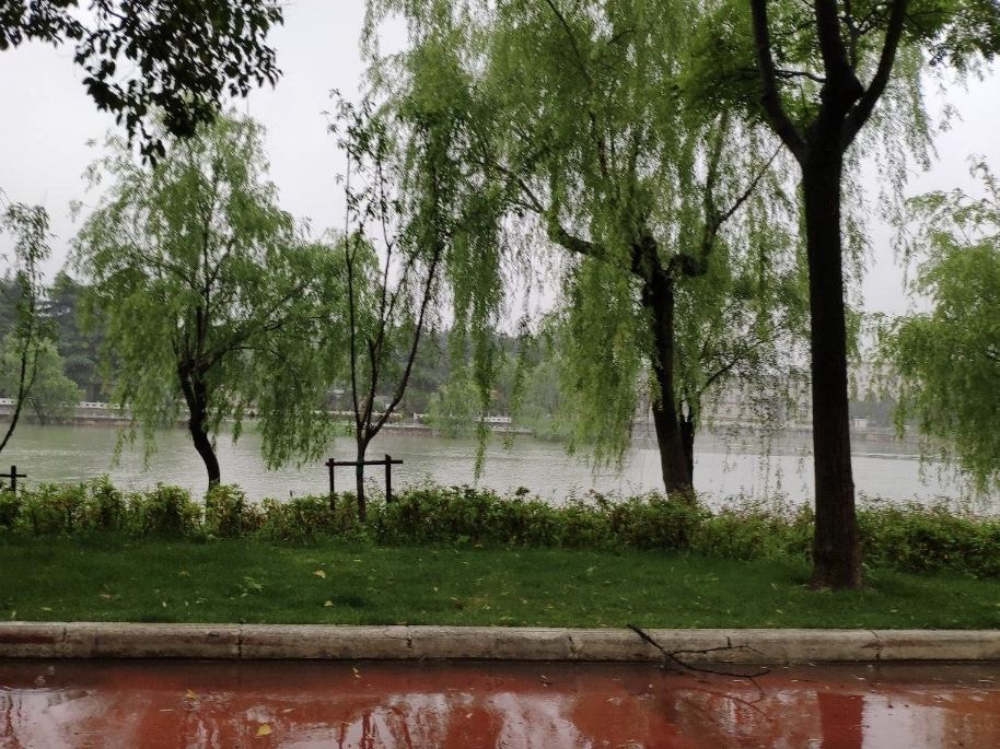 龙川广场旅行图片 3