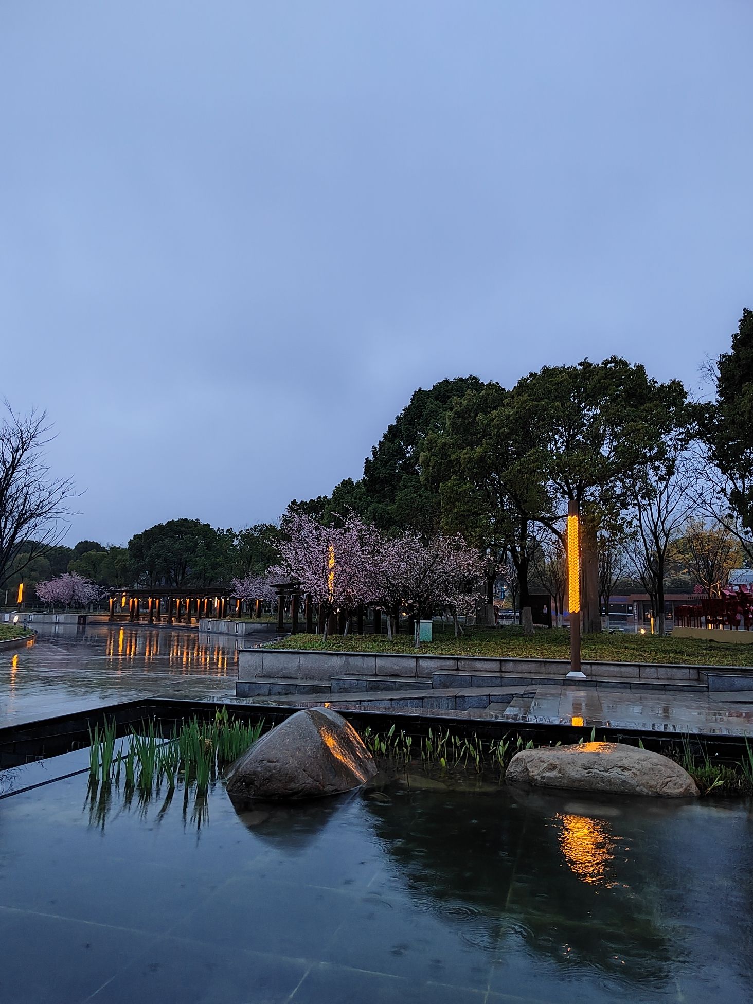 龙川广场旅行图片 2