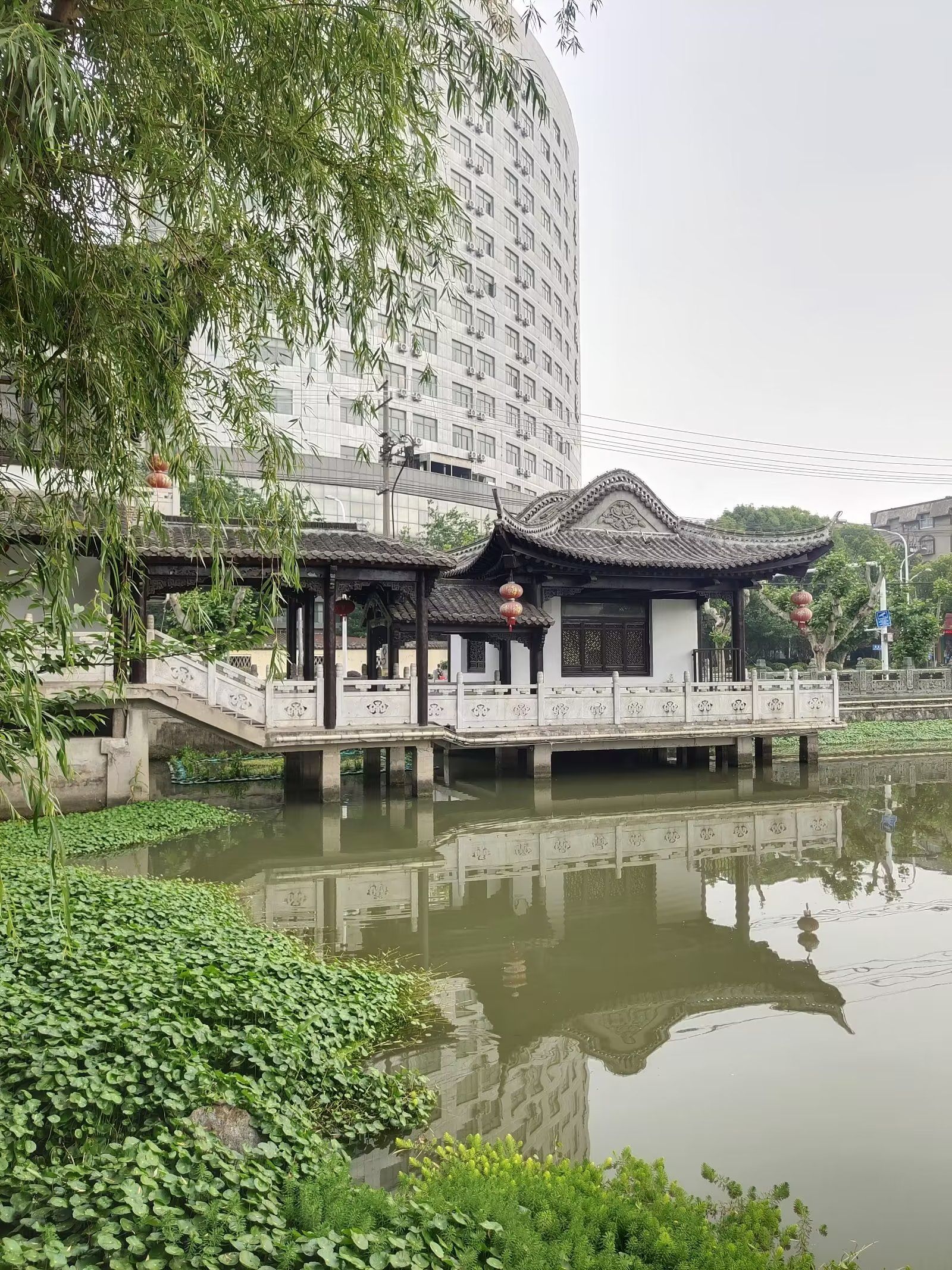 纵棹园旅行图片 1