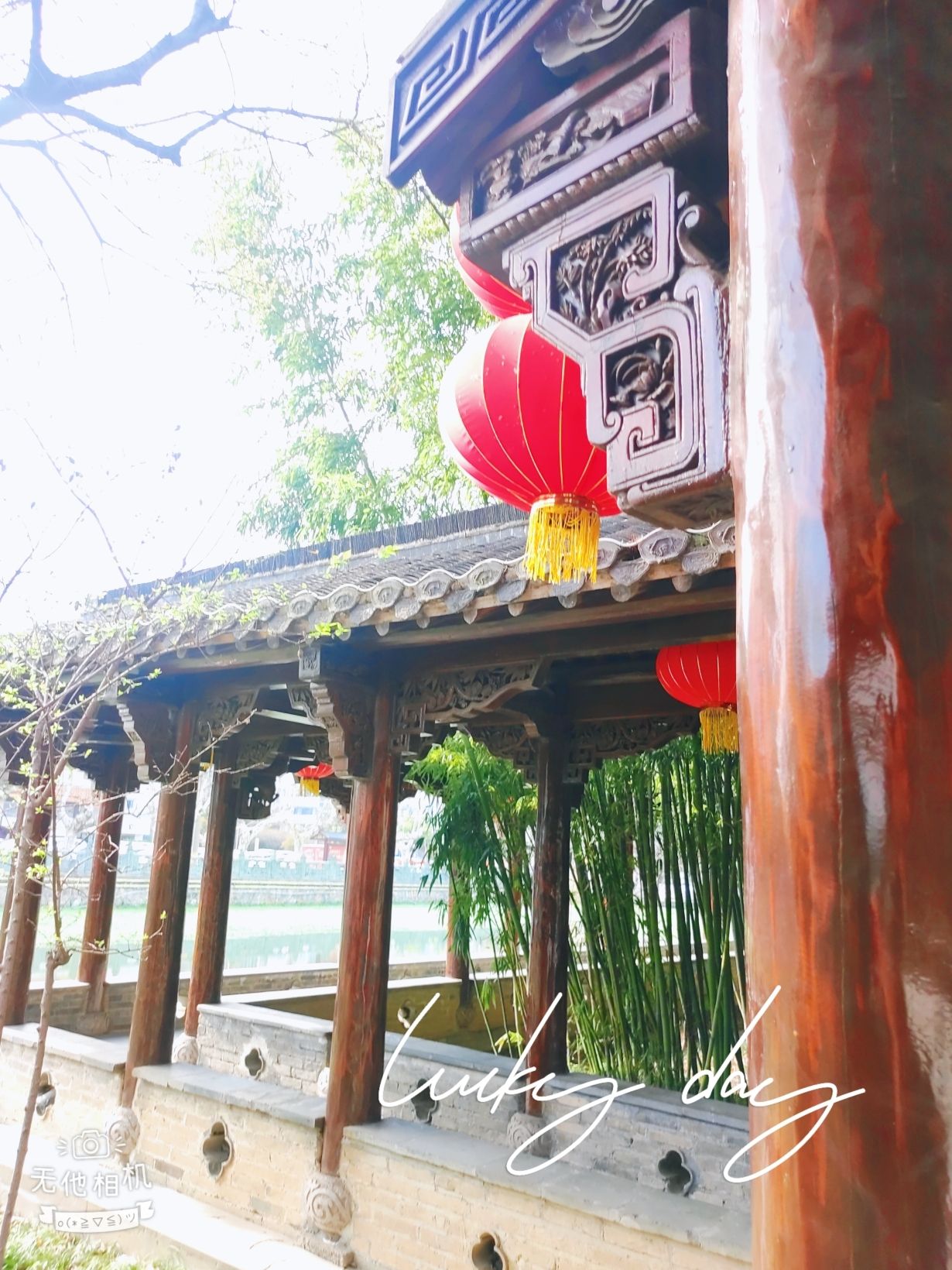 纵棹园旅行图片 1