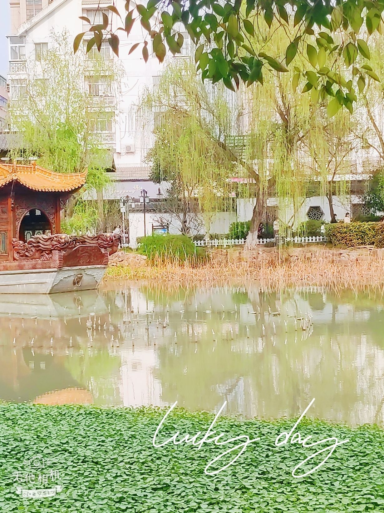 纵棹园旅行图片 3