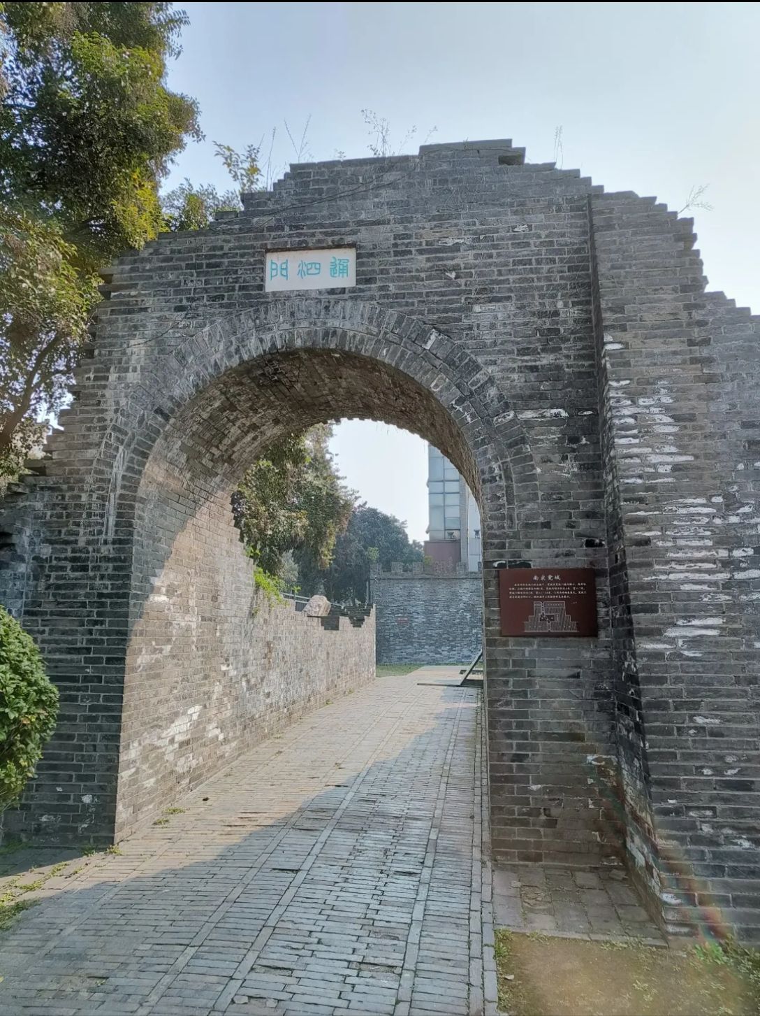唐城遗址旅行图片 1