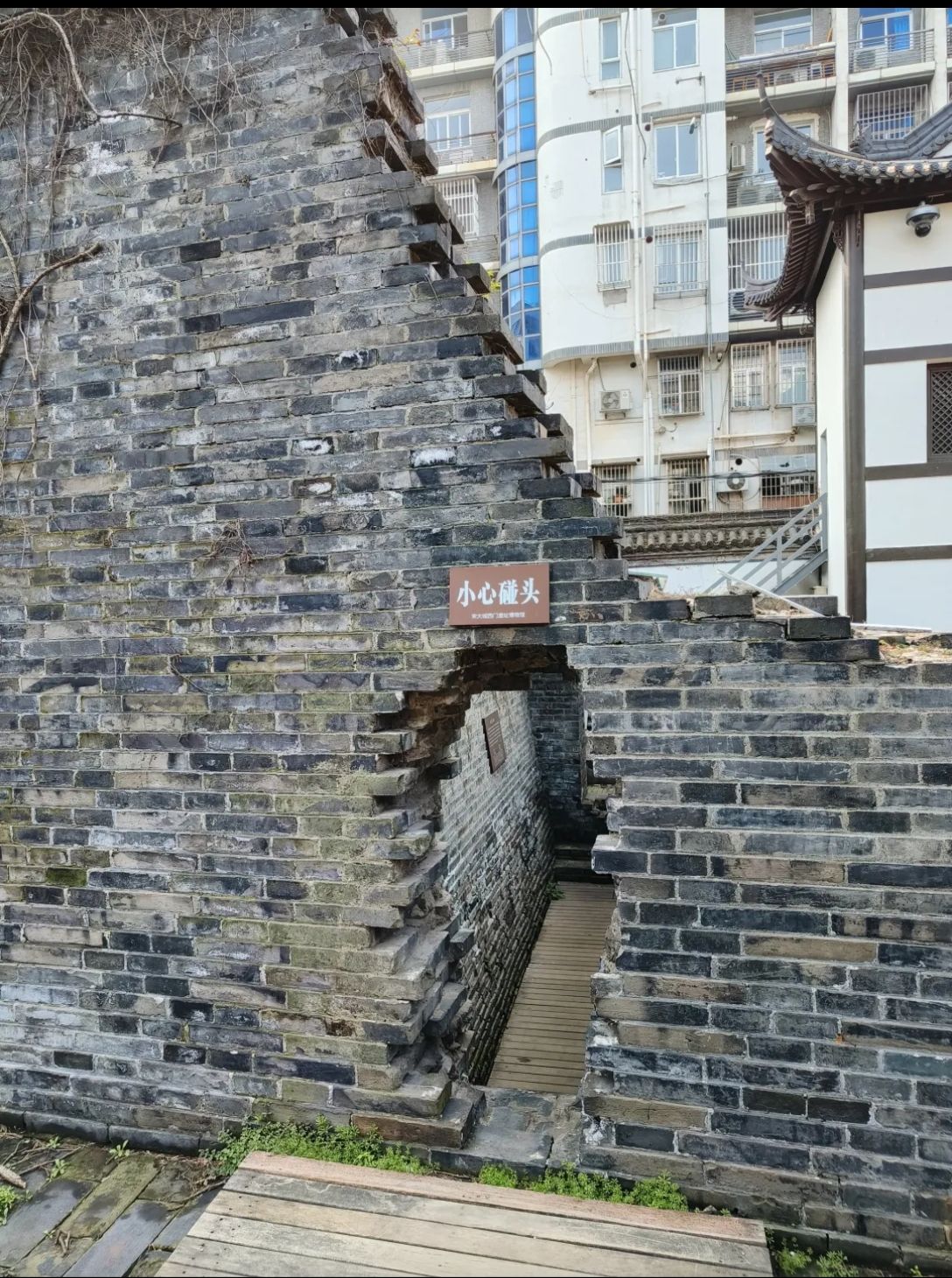 唐城遗址旅行图片 2