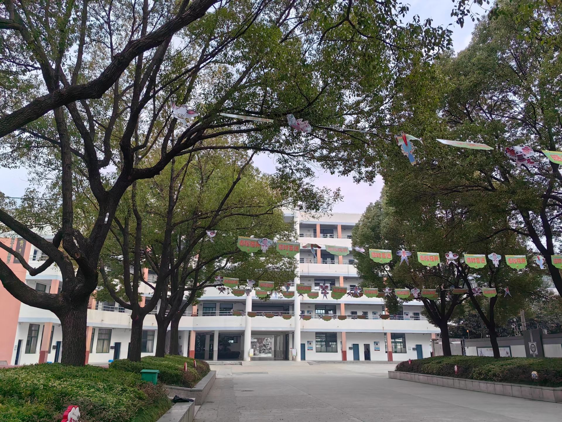 育才小学