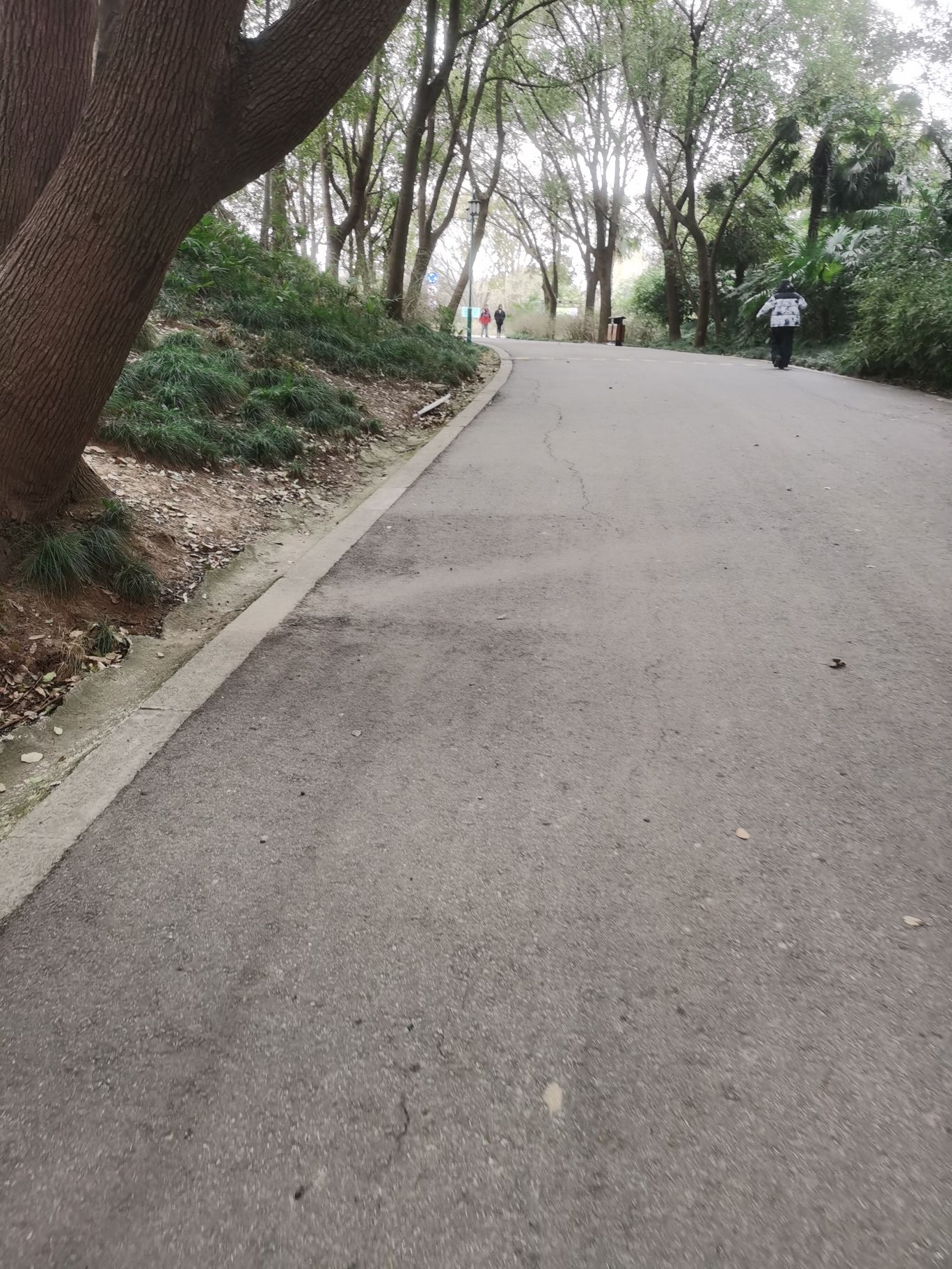 蜀冈西峰生态公园旅行图片 2