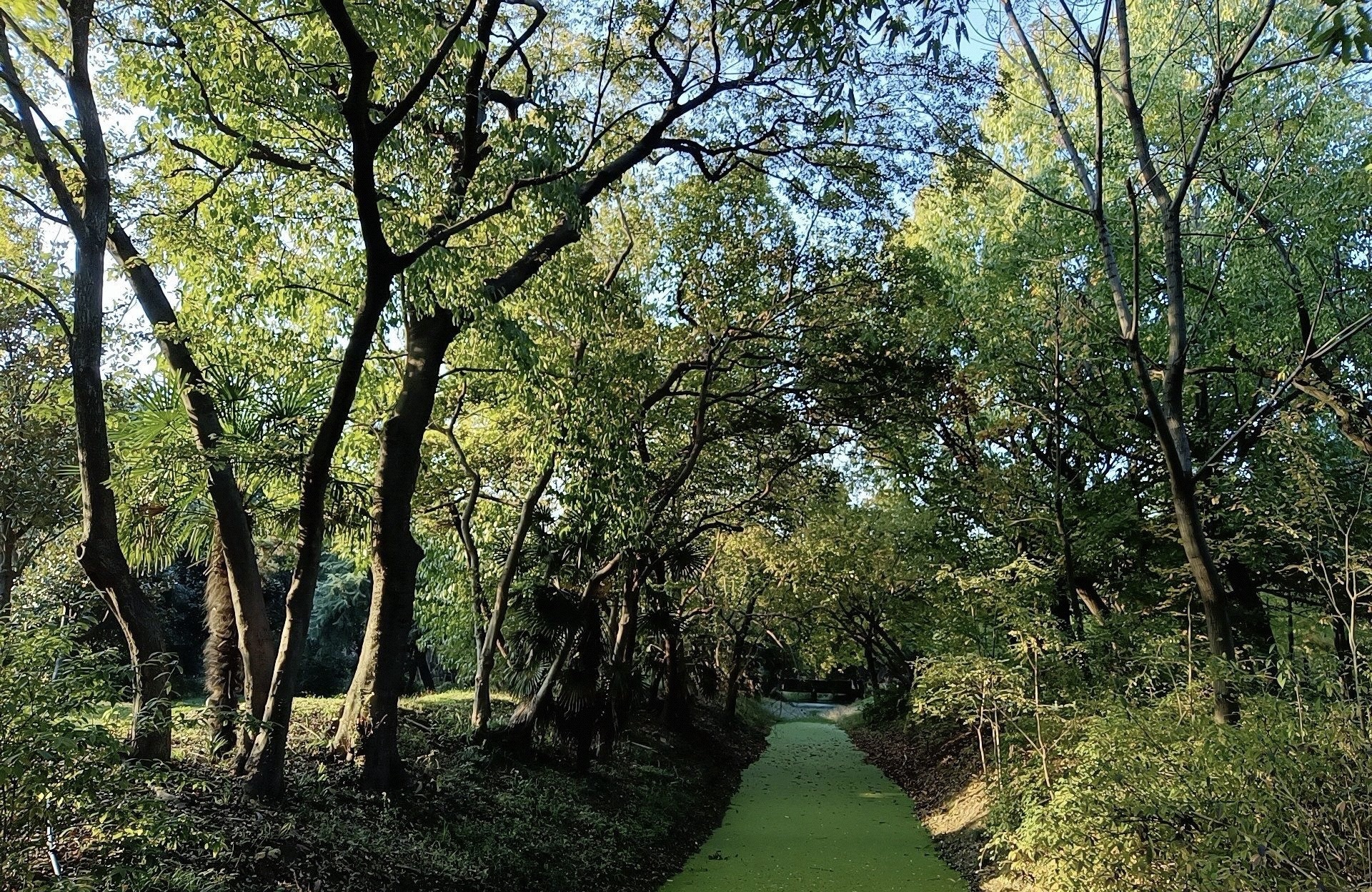 蜀冈西峰生态公园旅行图片 2