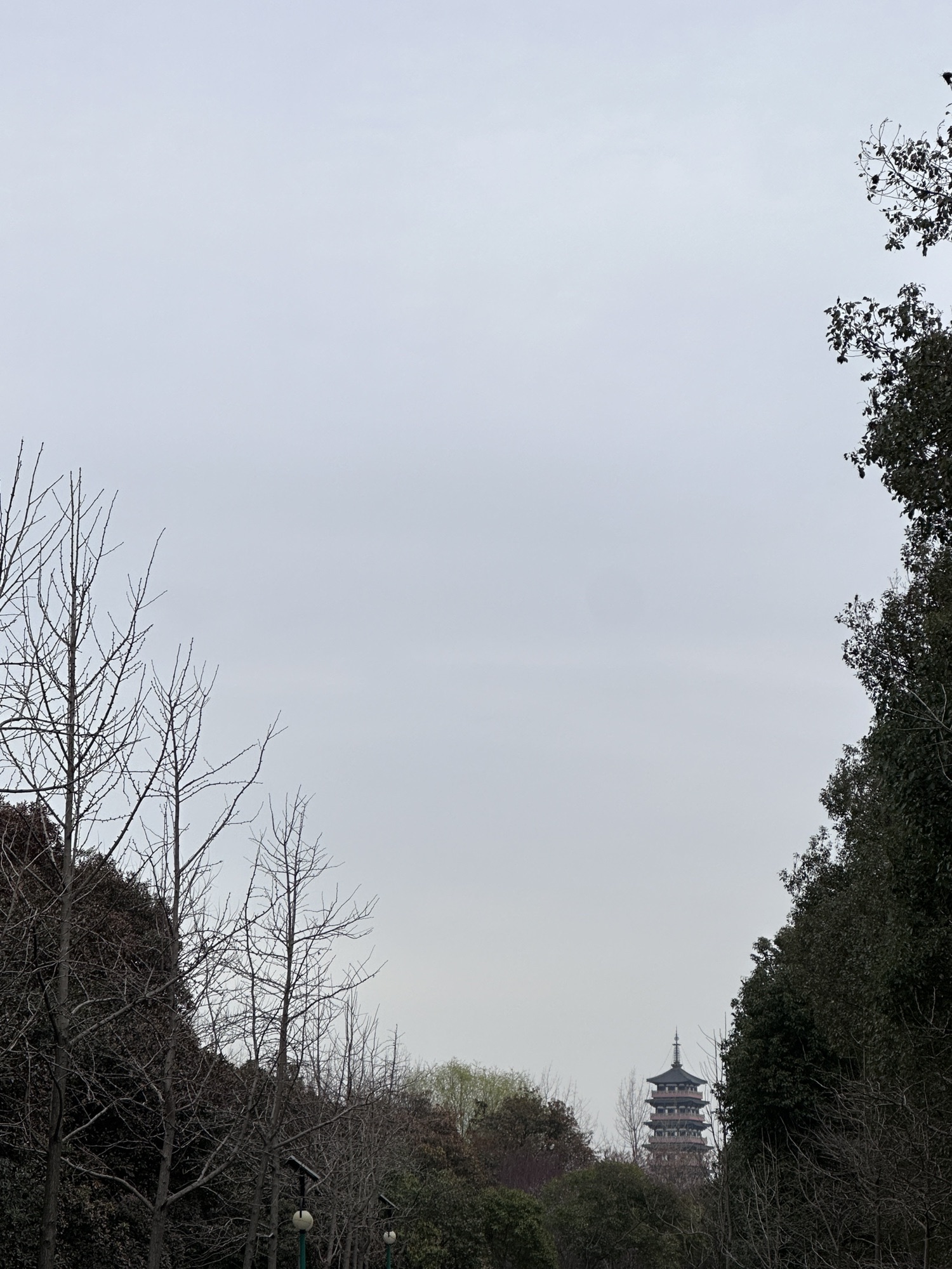 蜀冈西峰生态公园旅行图片 3