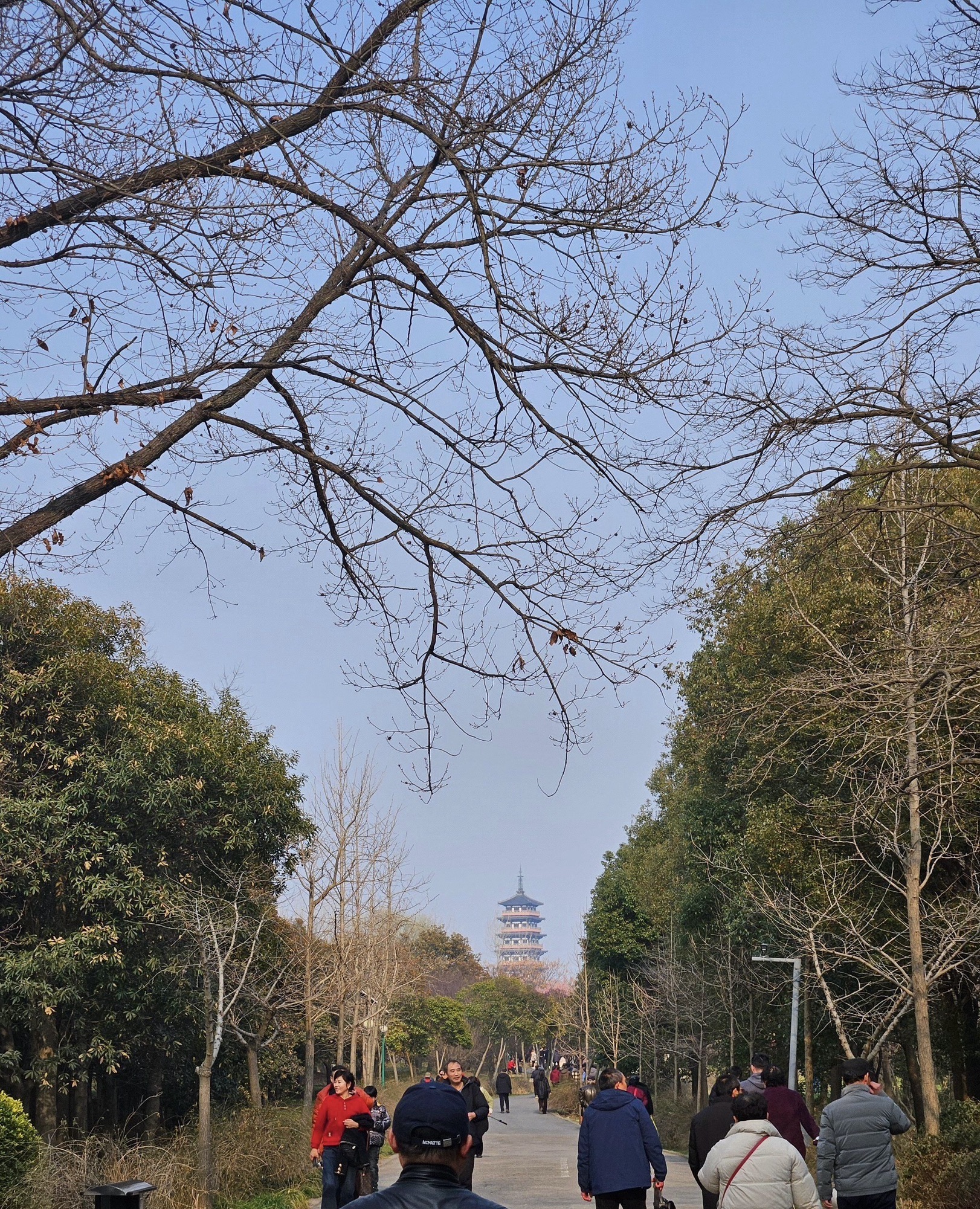 蜀冈西峰生态公园旅行图片 1