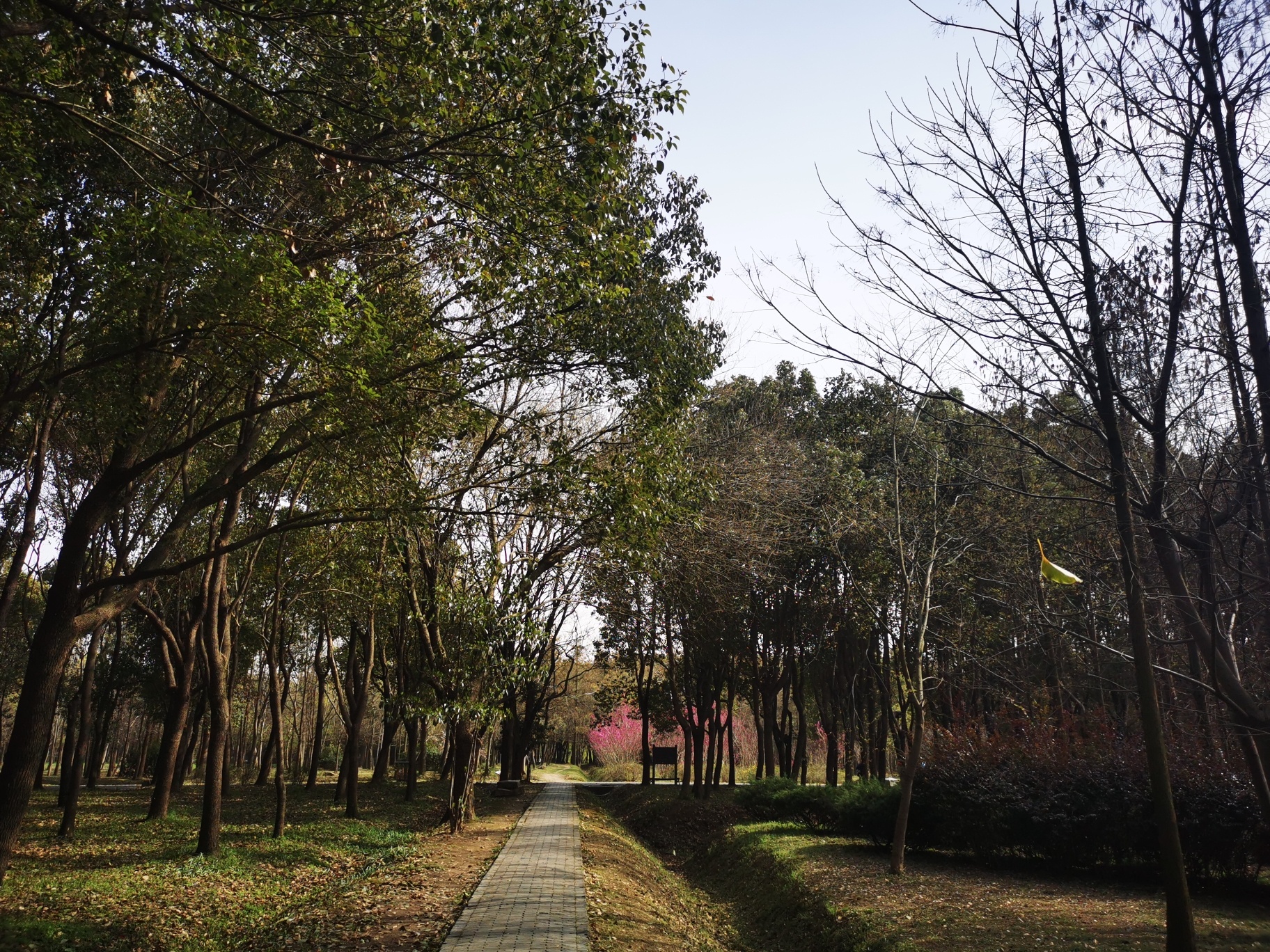蜀冈西峰生态公园旅行图片 2