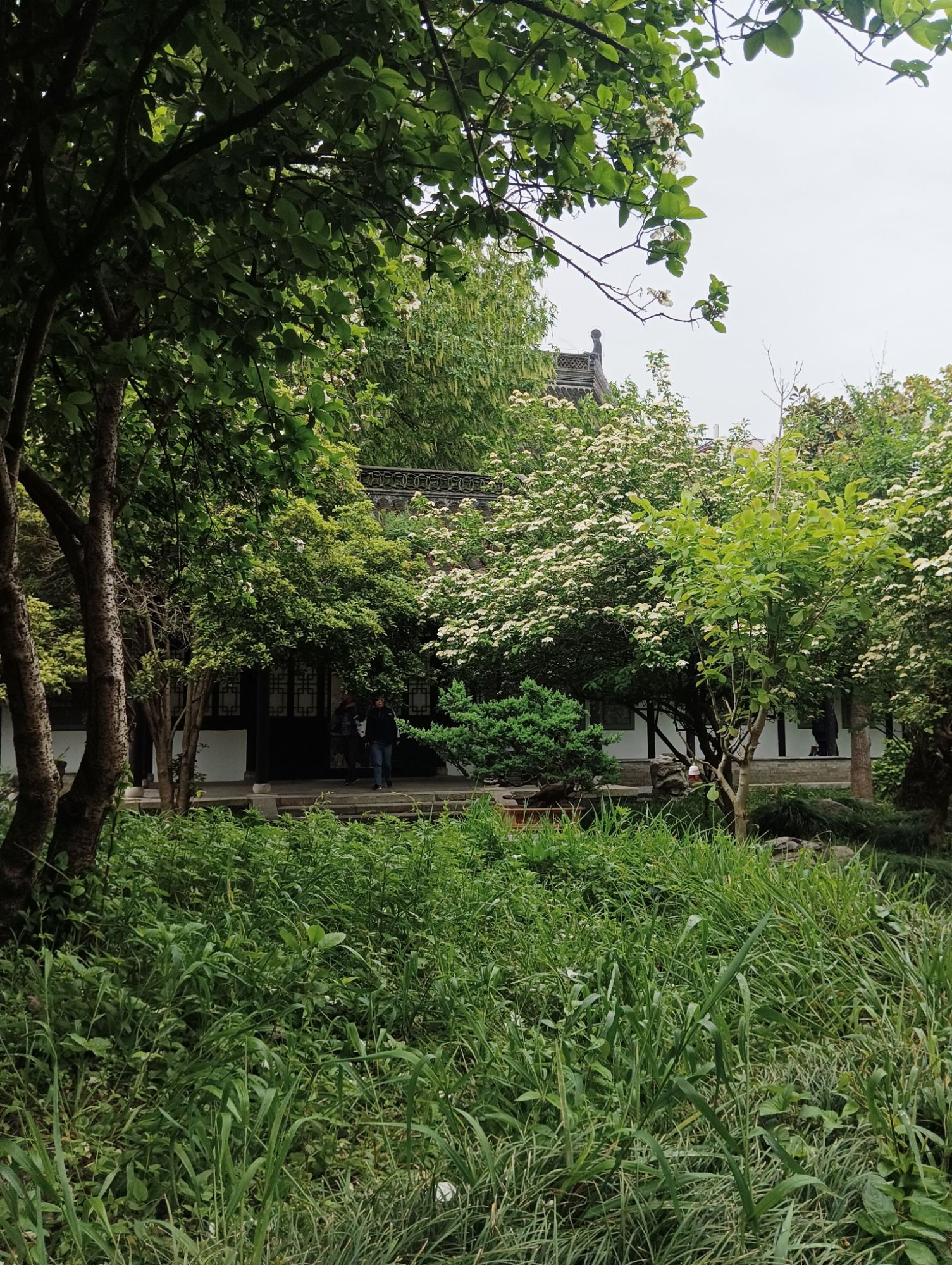琼花观旅行图片 3
