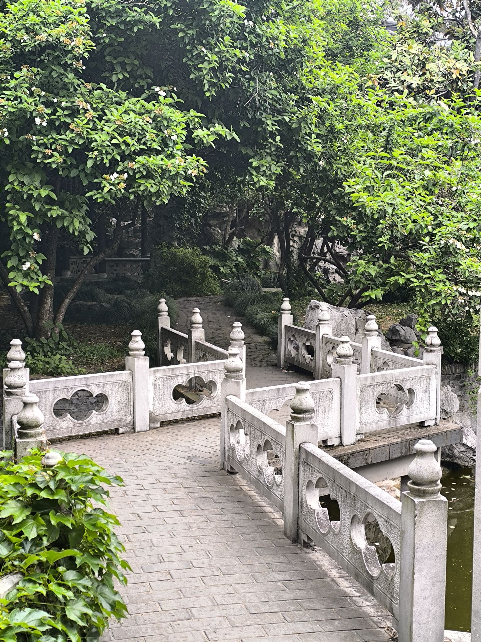 琼花观旅行图片 3
