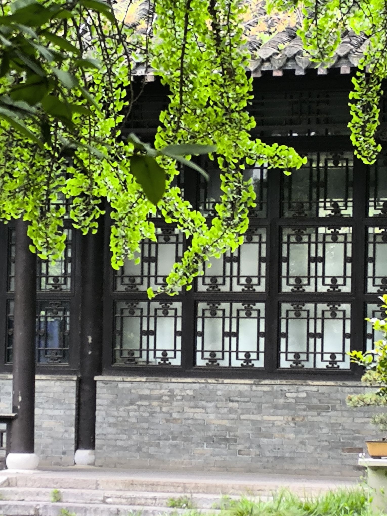 琼花观旅行图片 2
