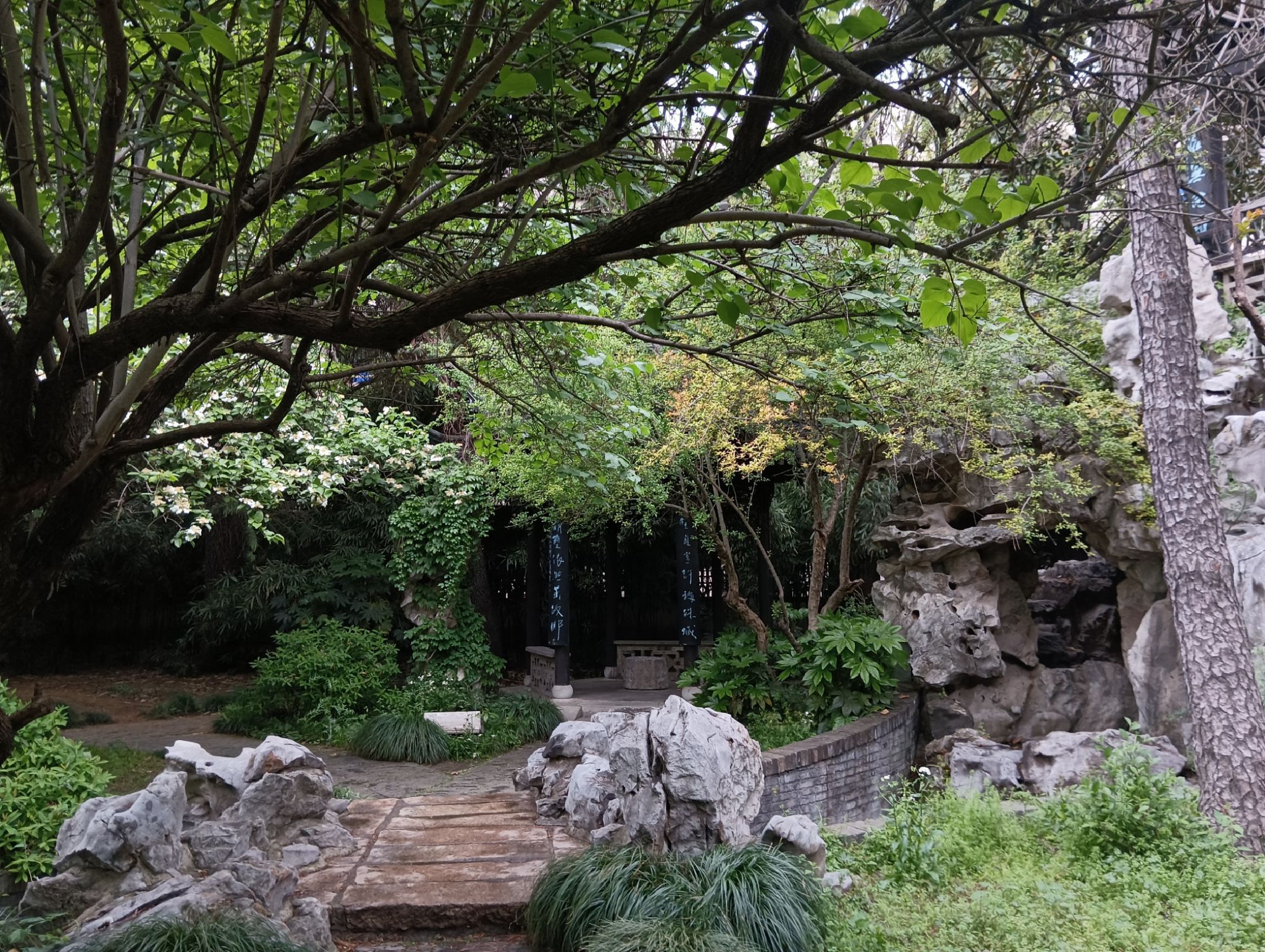 琼花观旅行图片 1